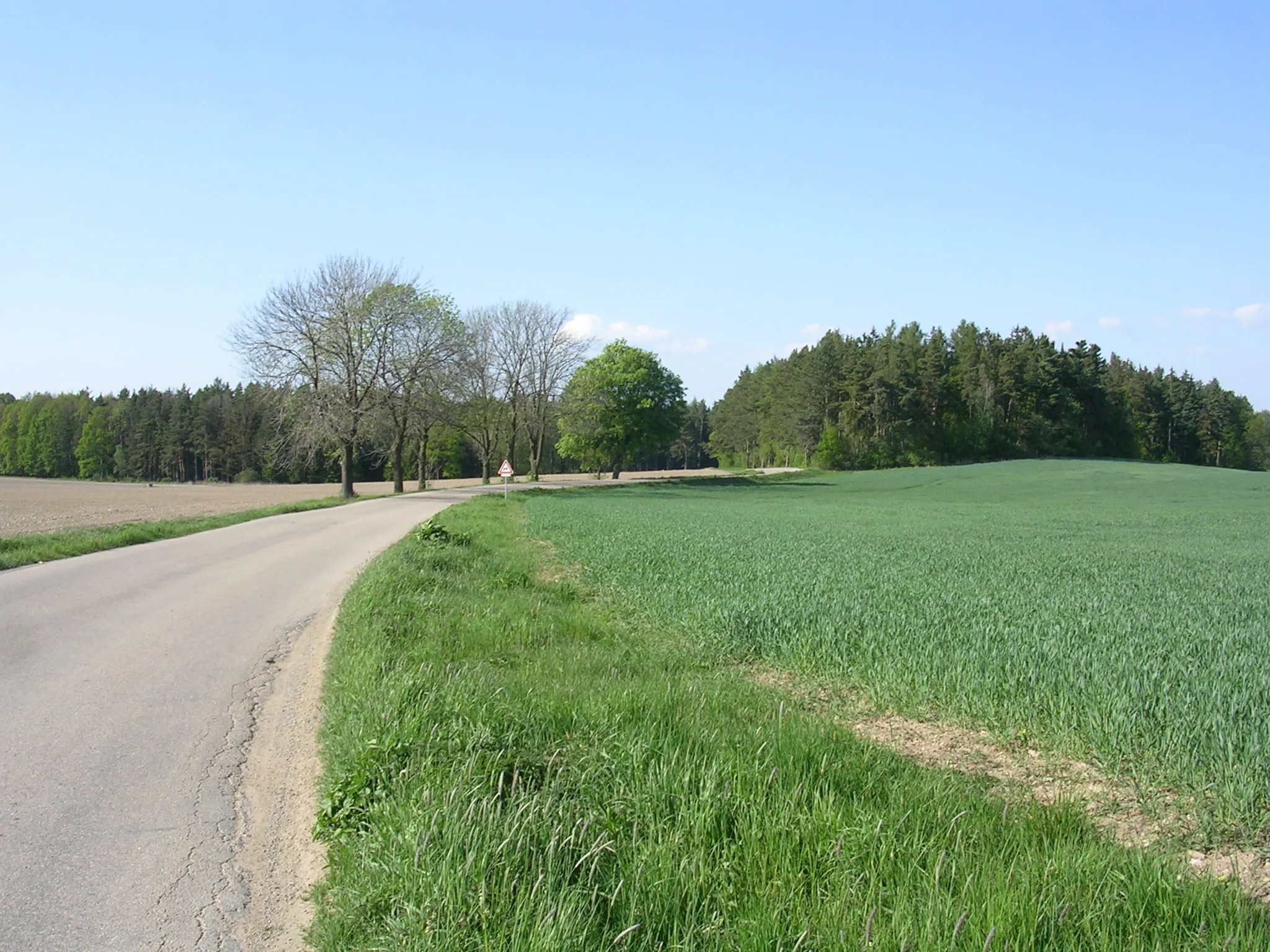 Photo showing: A road Čelivo–Milovanice, municipality of Postupice, Central Bohemian Region, the Czech Republic.