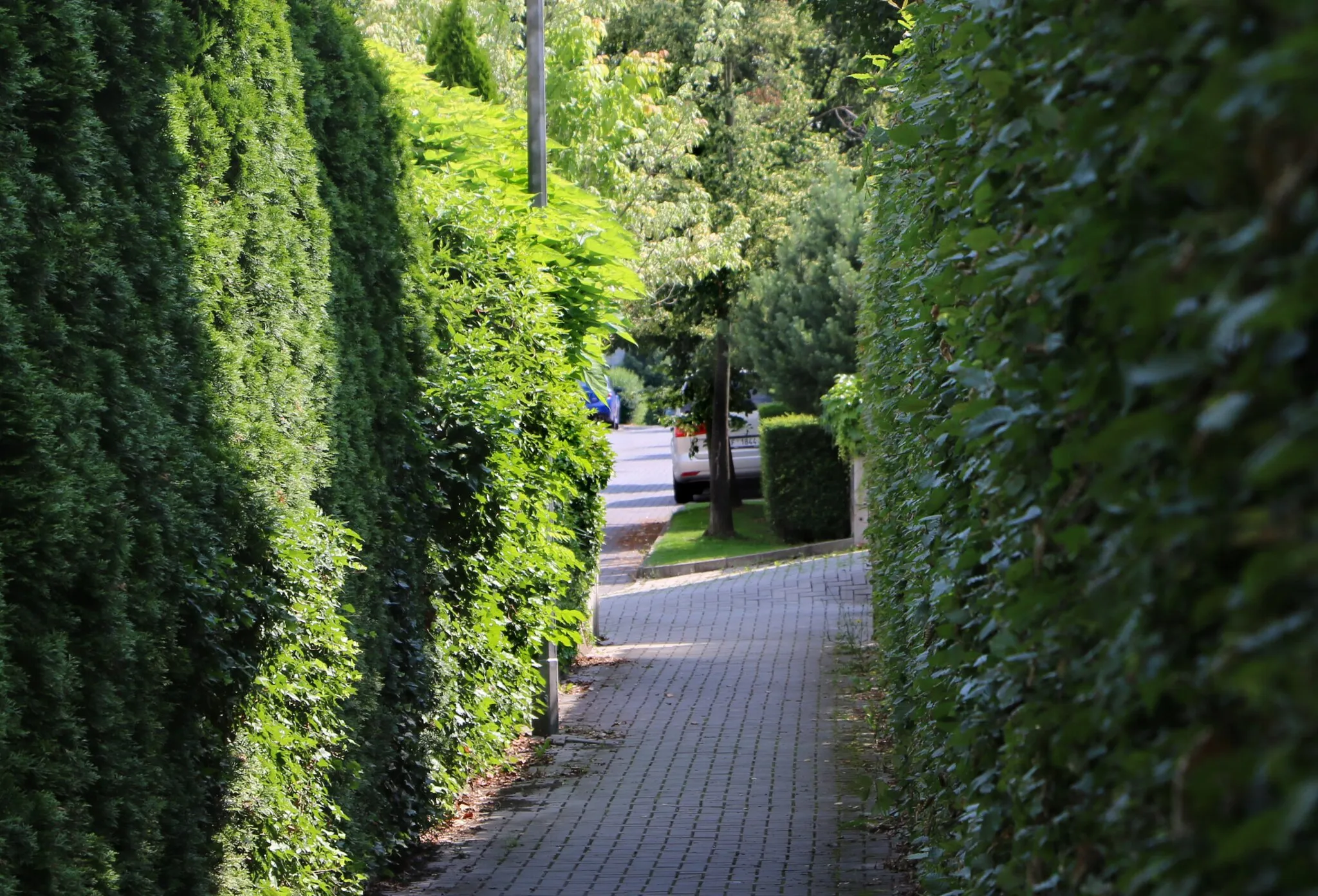 Photo showing: Pedestrian way to Hákova street, Prague.