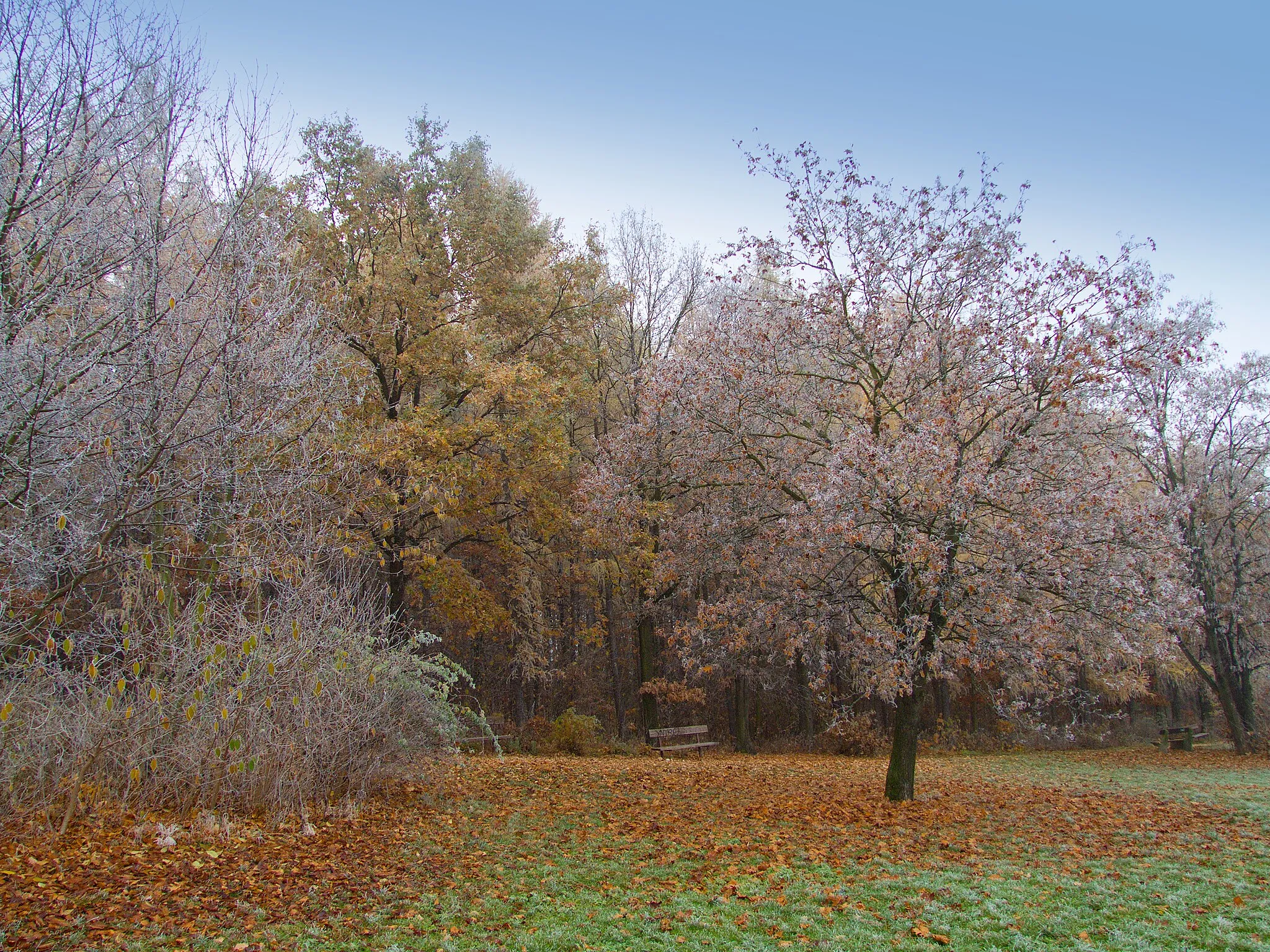 Photo showing: Barvy podzimu