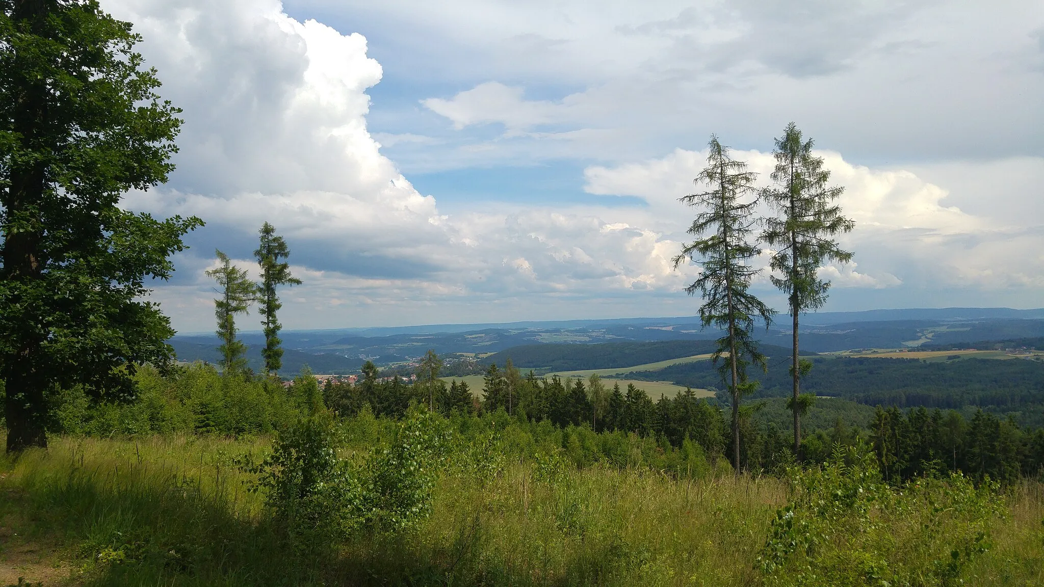 Photo showing: Krušná hora - na cestě s vrcholu k Hudlicím