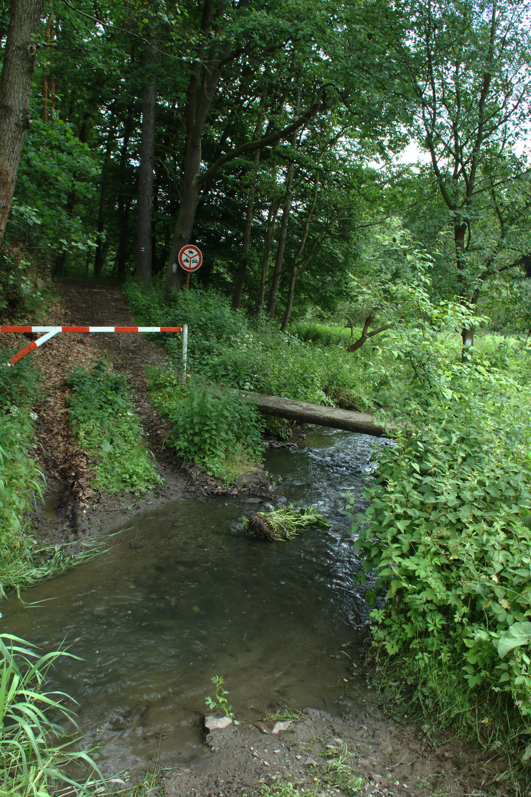 Photo showing: Černý potok creek, tributary of the river of Loděnice (Kačák), Central Bohemian Region, CZ