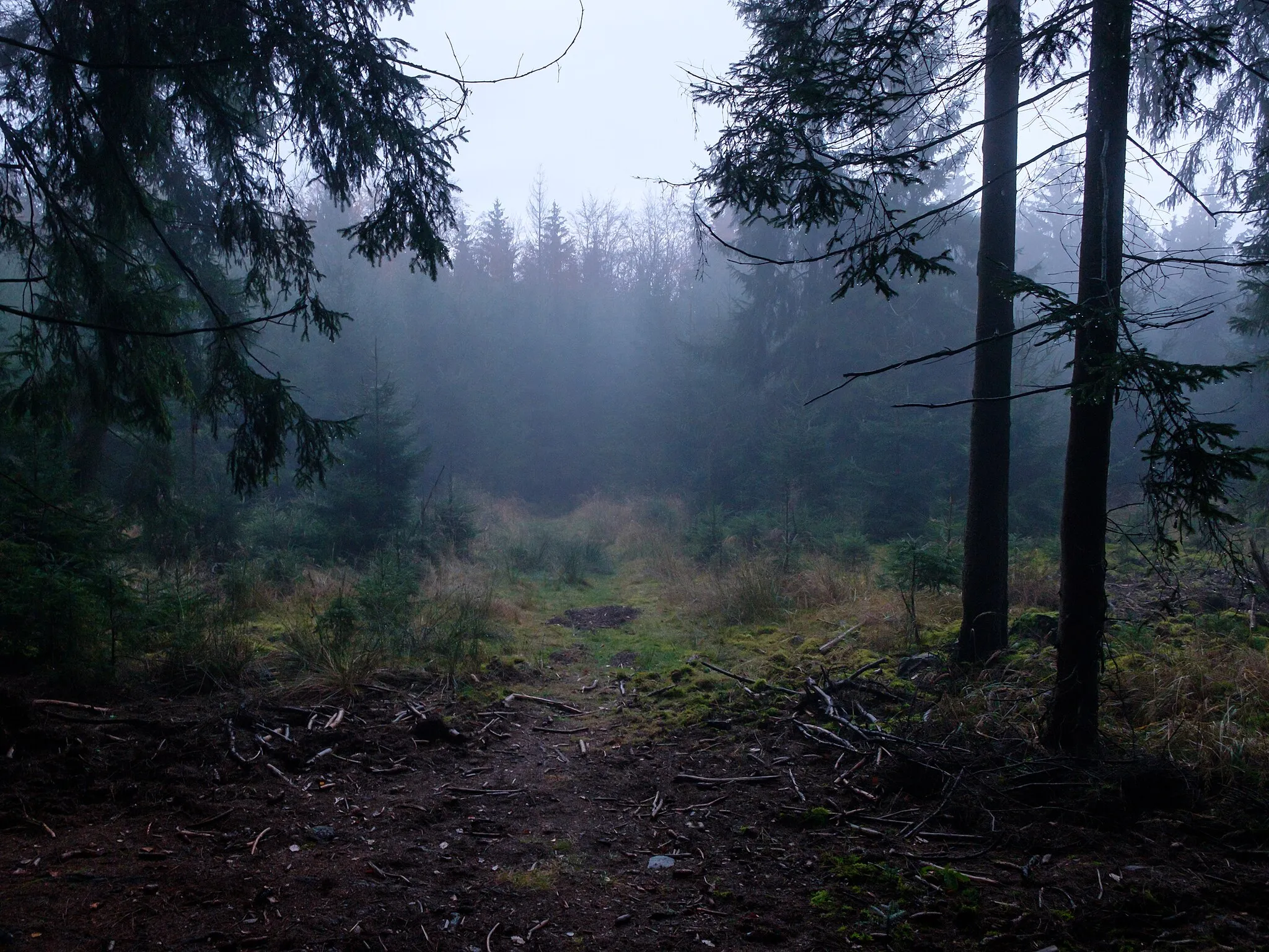 Photo showing: Velká Baba in autumn fog