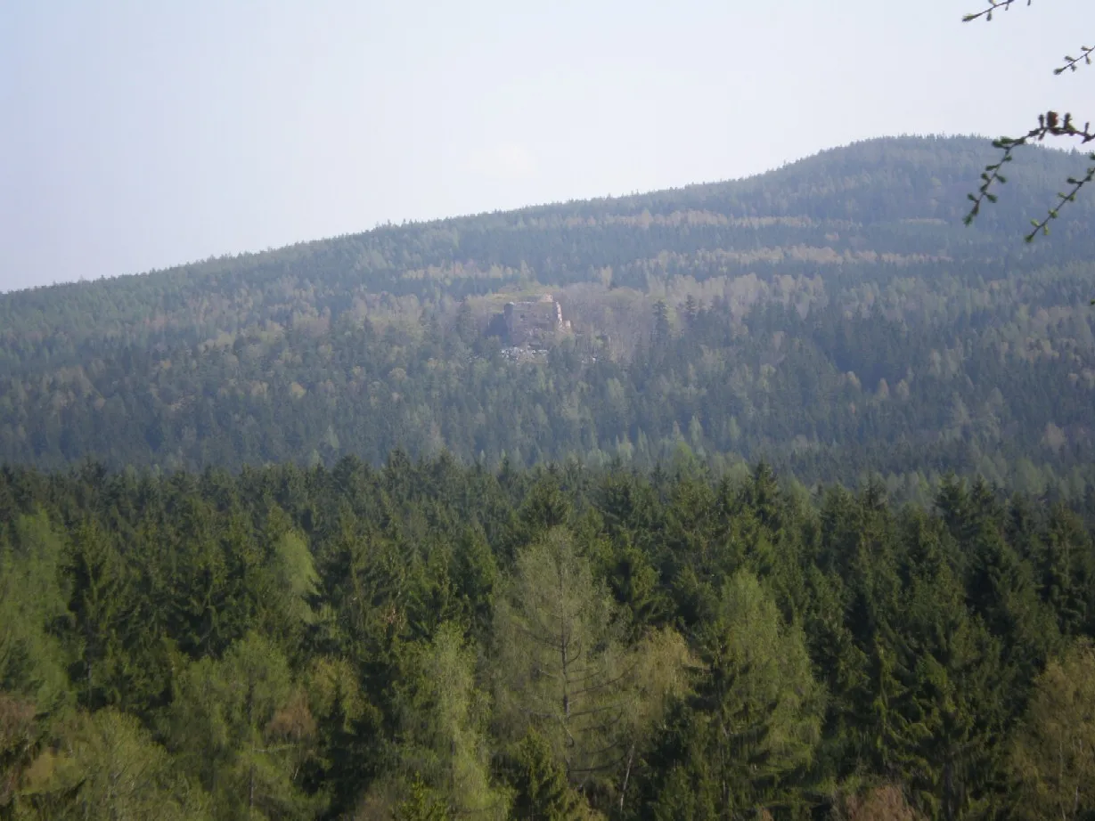 Photo showing: Hrad Valdek ve svahu Berance (662 m) nad údolím Červeného potoka.