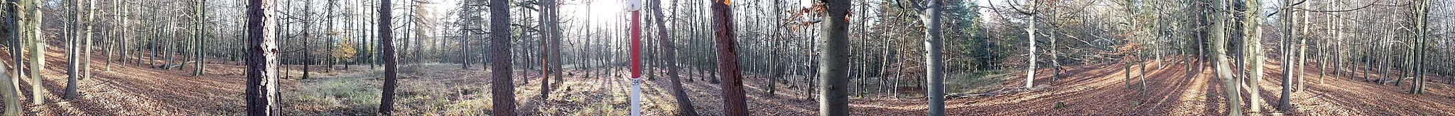 Photo showing: Vrchol je pokrytý lesem, výhled  jen přes stromy