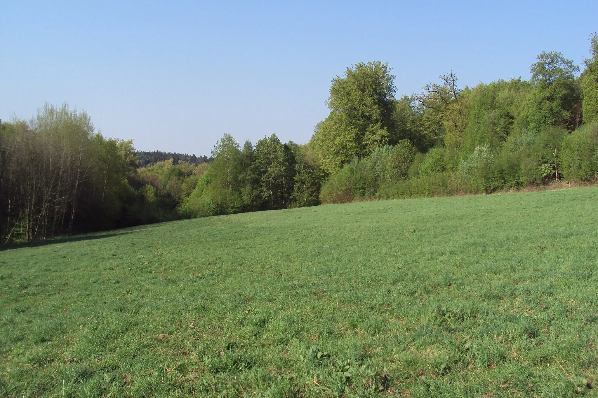 Photo showing: Okraj přírodní památky od Osinalického sedla, katastr Zakšín