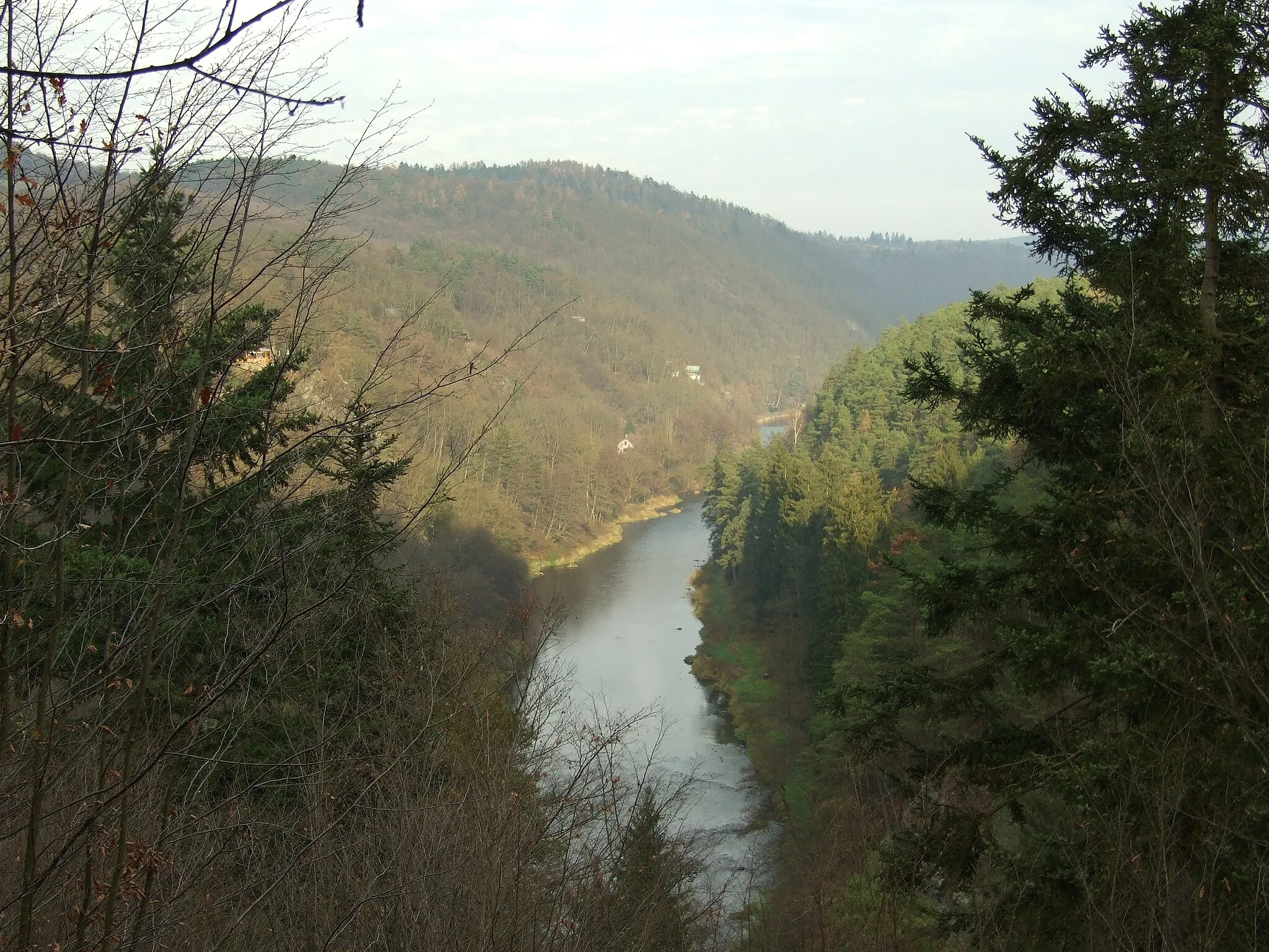 Photo showing: Sázava River from Raisova vyhlídka lookout point, Central Bohemian Region, CZ