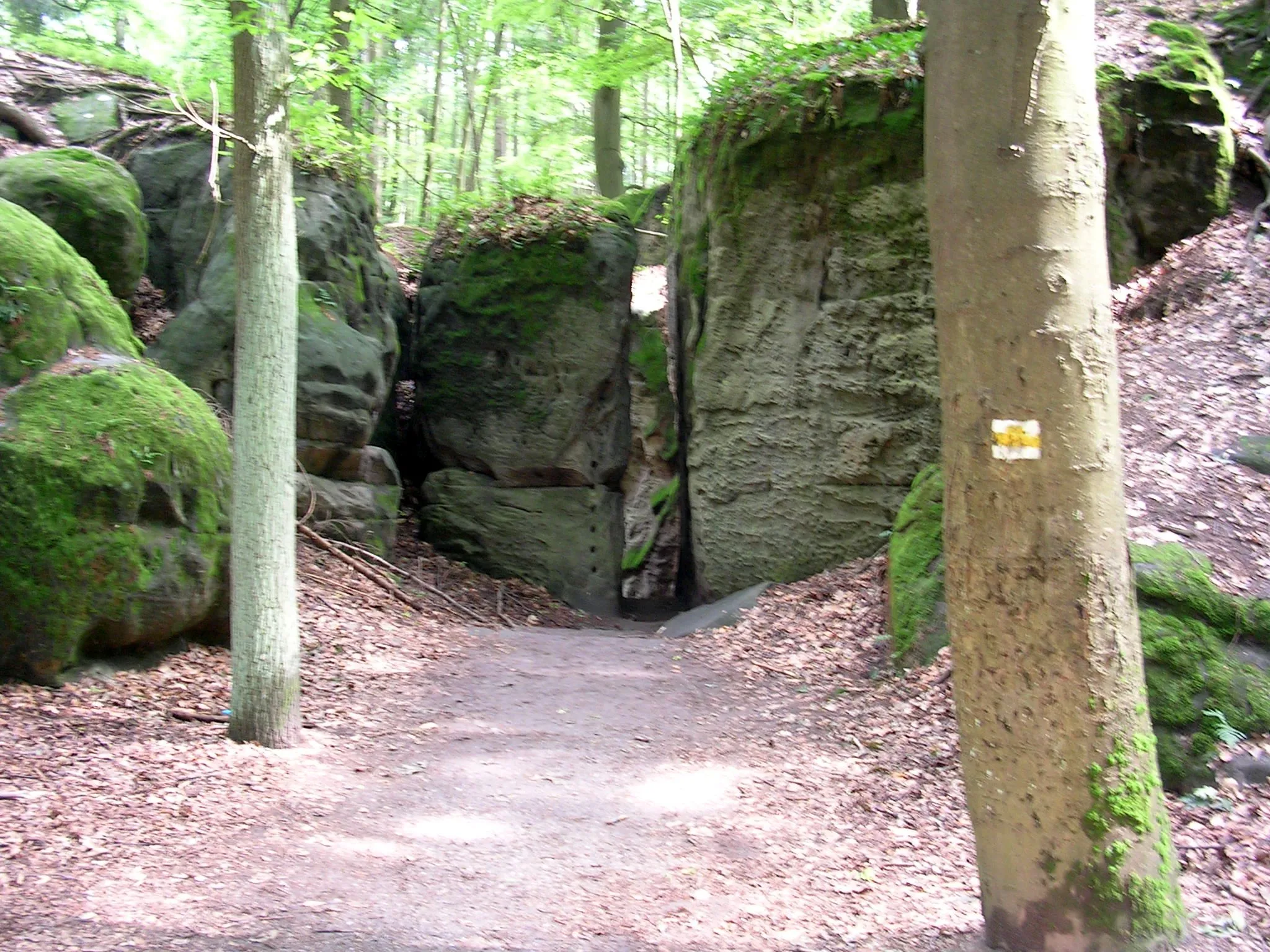 Photo showing: Rocks of Hrubá Skála, Liberec Region, the Czech Republic.