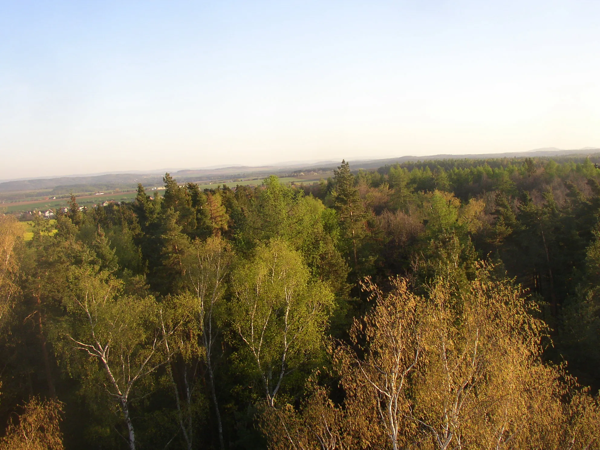 Photo showing: View from Kožova hora lookout tower in Kladno towards SSW.