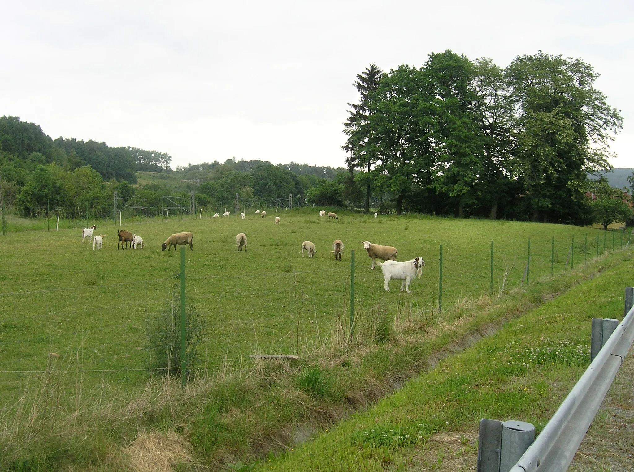 Photo showing: Fence in Střelítov, part of Votice, Czech Republic.