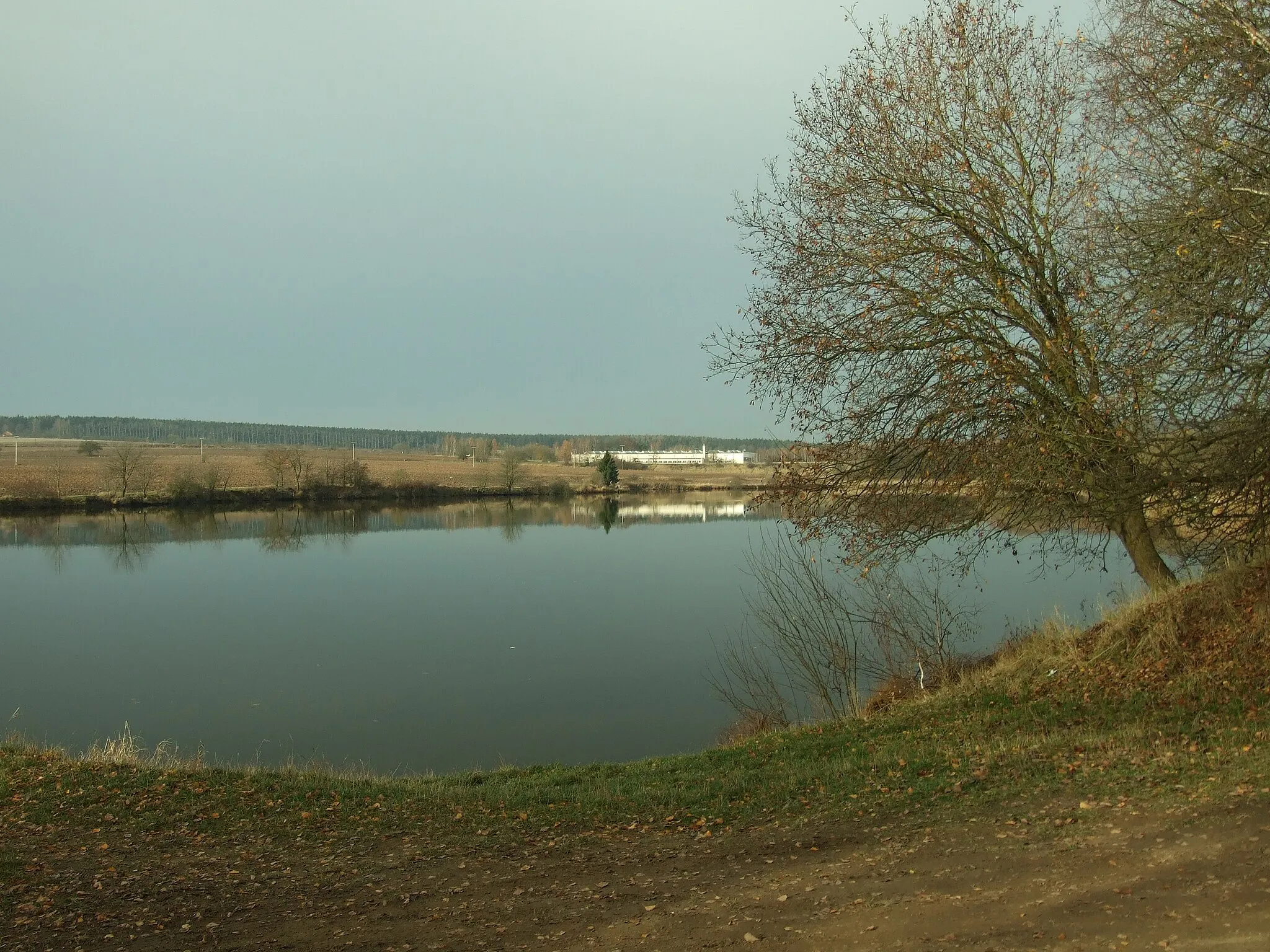 Photo showing: Nový II pond near the town of Nové Strašecí, Central Bohemian Region CZ