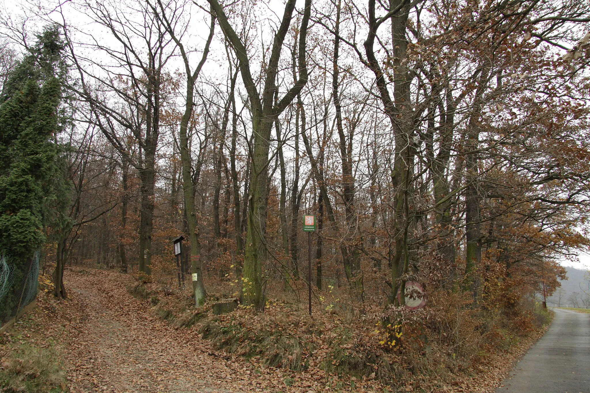 Photo showing: Nature reserve Šance near Zbraslav, Prague, Czech Republic