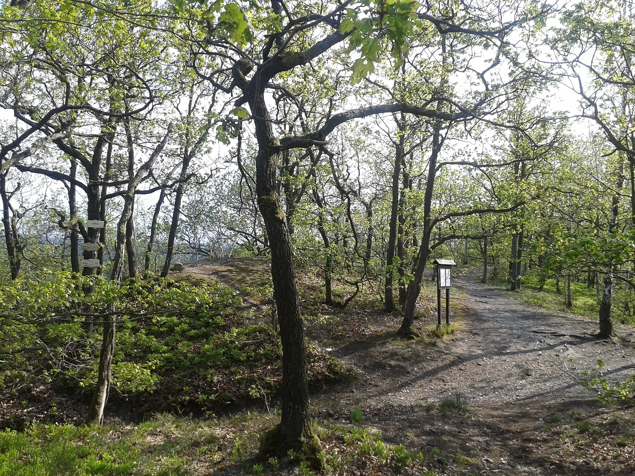 Photo showing: Nature Reserve Šance near Točná with the educative trail Celtic Trail commemorating the local part of the cultural monument - Oppid Závist