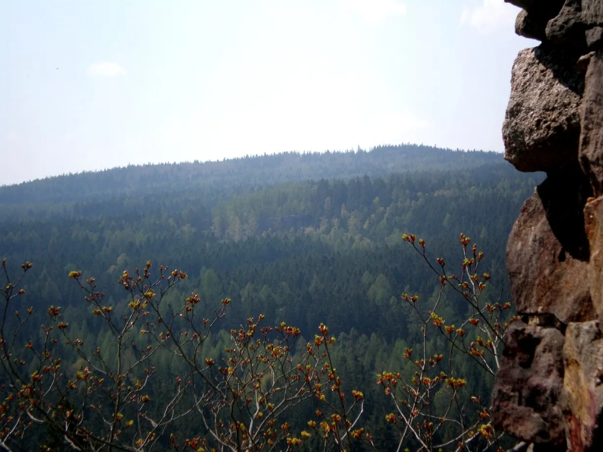 Photo showing: Pohled ze zříceniny hradu Valdek na vrch Beran (684 m) na protilehlé straně údolí Červeného potoka. Ve střední části lze rozeznat masu Jindřichovy skály.