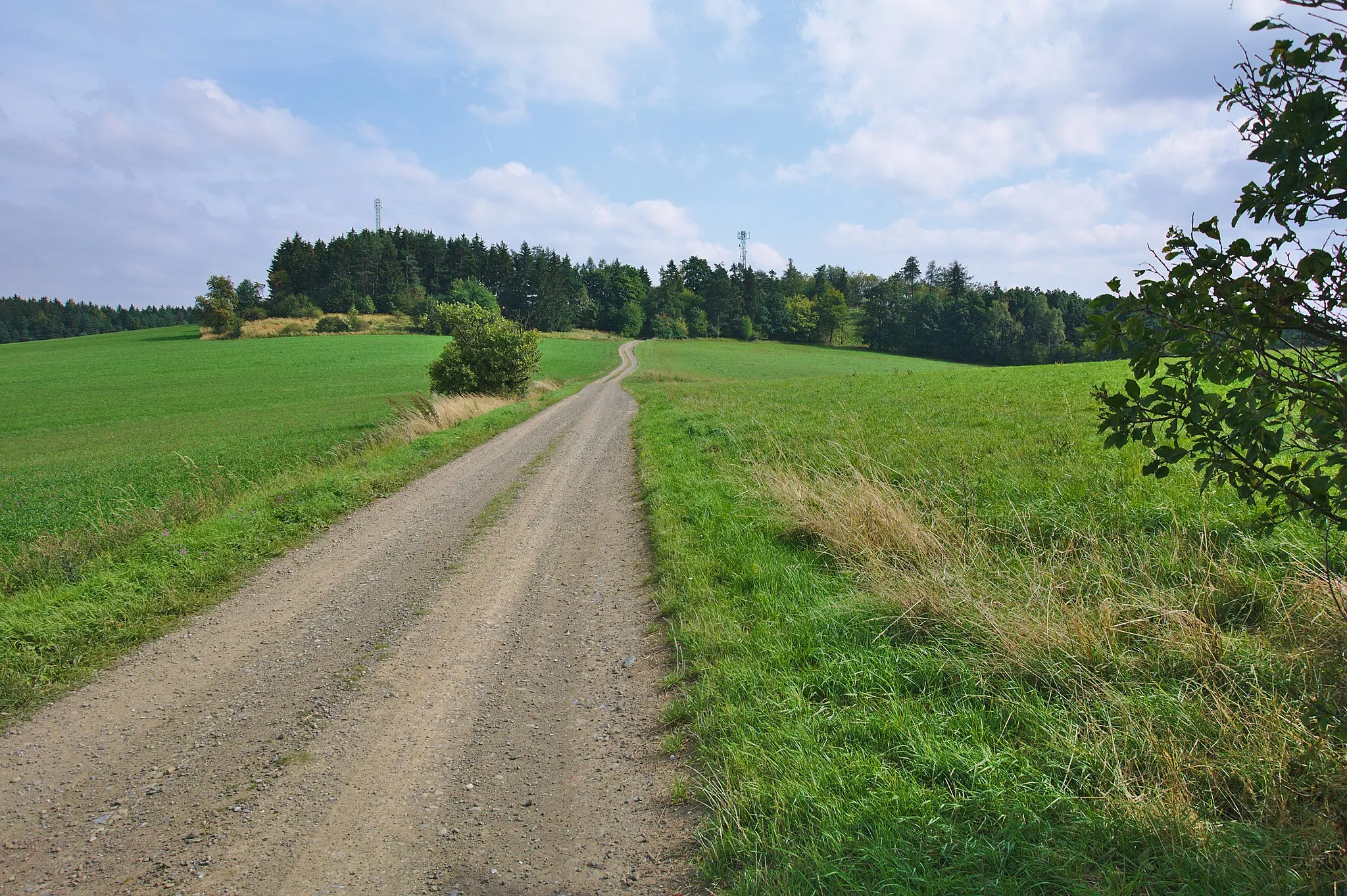 Photo showing: Liškovy skalky od západu, Kladky, okres Prostějov