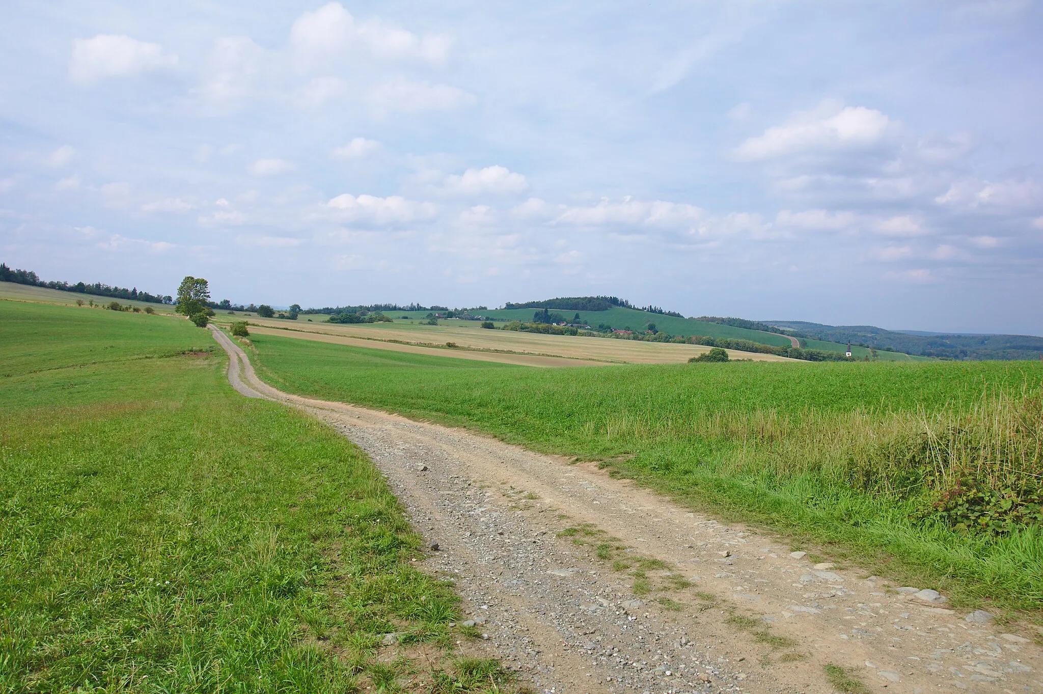 Photo showing: Napoleonská cesta jižně od Kladek, okres Prostějov
