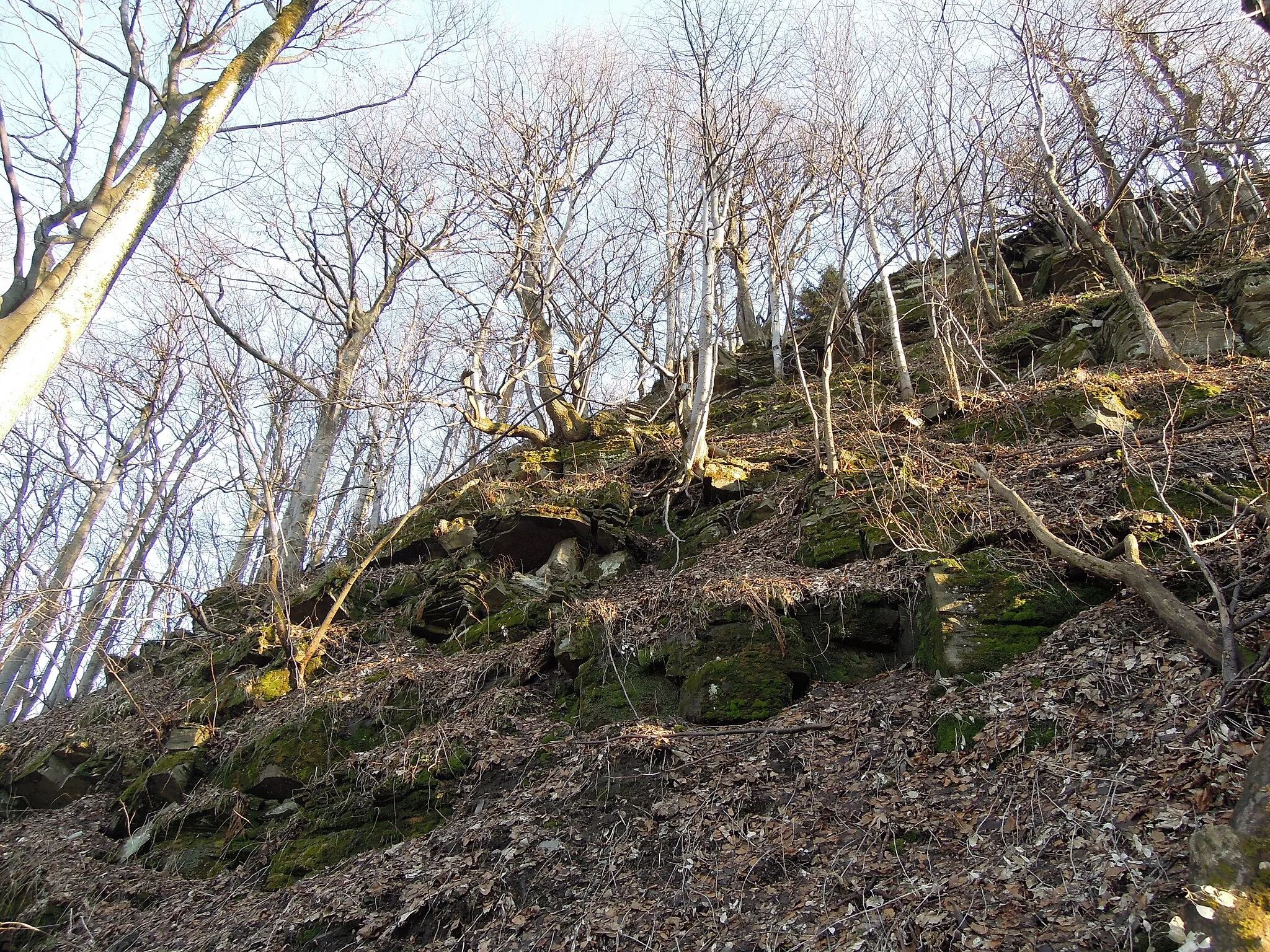 Photo showing: Huštýn nature reserve, Nový Jičín District, Moravian–Silesian Region, Czech Republic