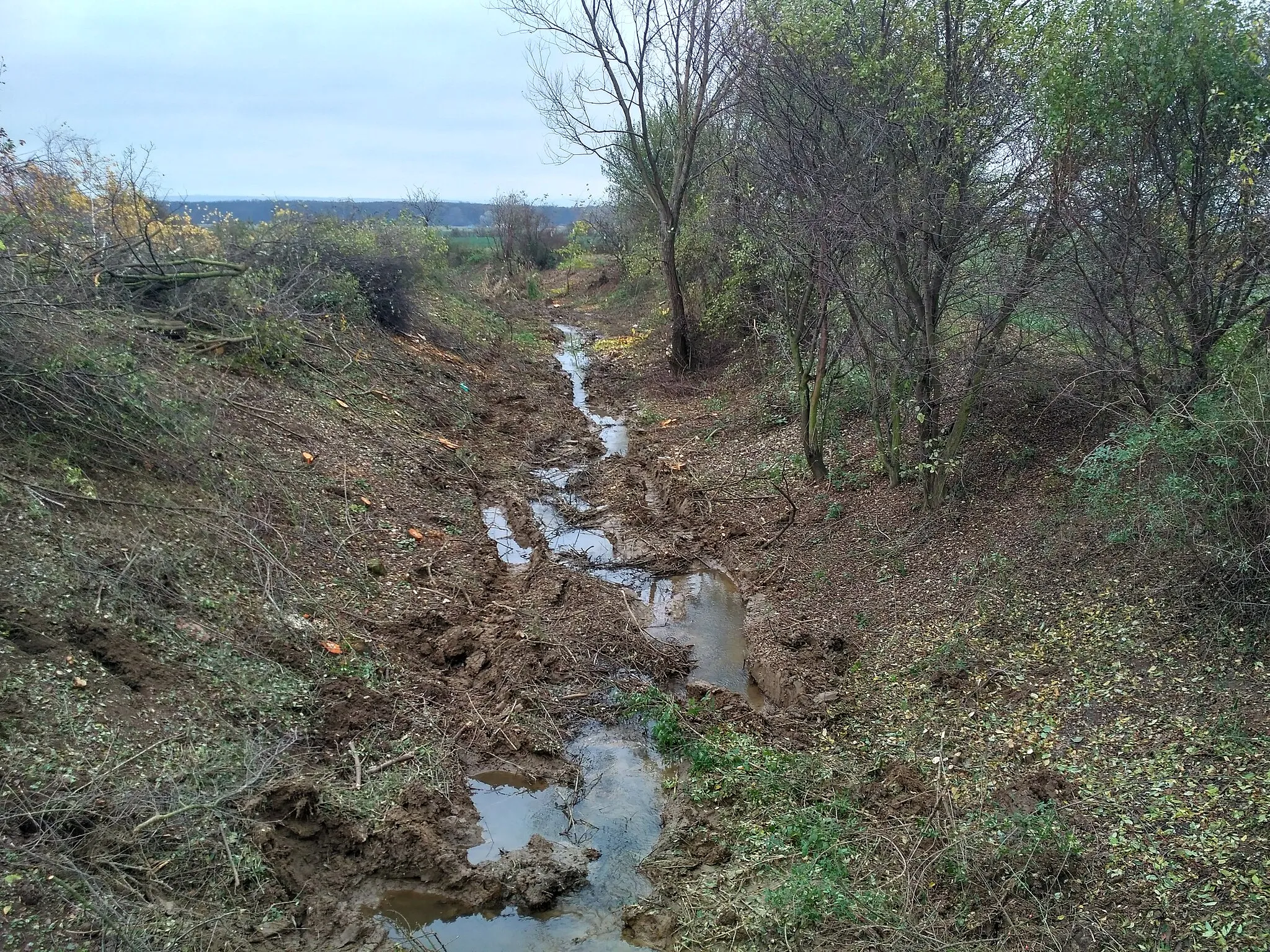 Photo showing: Stream bed of Petrikovec, cycleway Ostrozska Nova Ves – Kunovice in November 2020