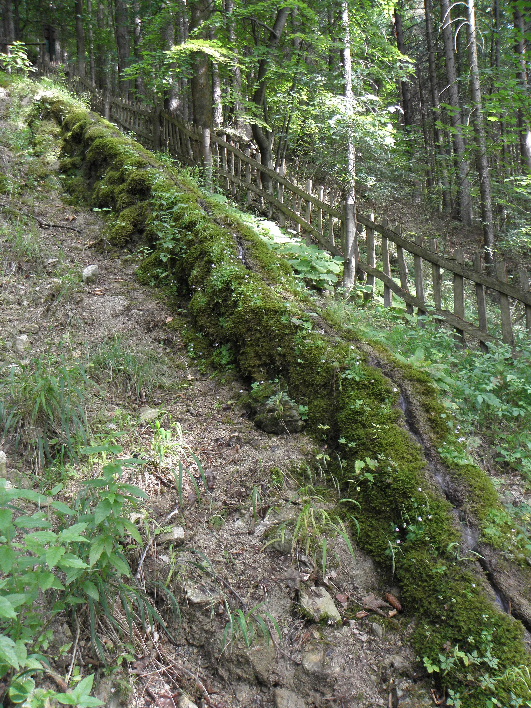 Photo showing: Přírodní památka Travertinová kaskáda; Tichá (okres Nový Jičín) (CZ)