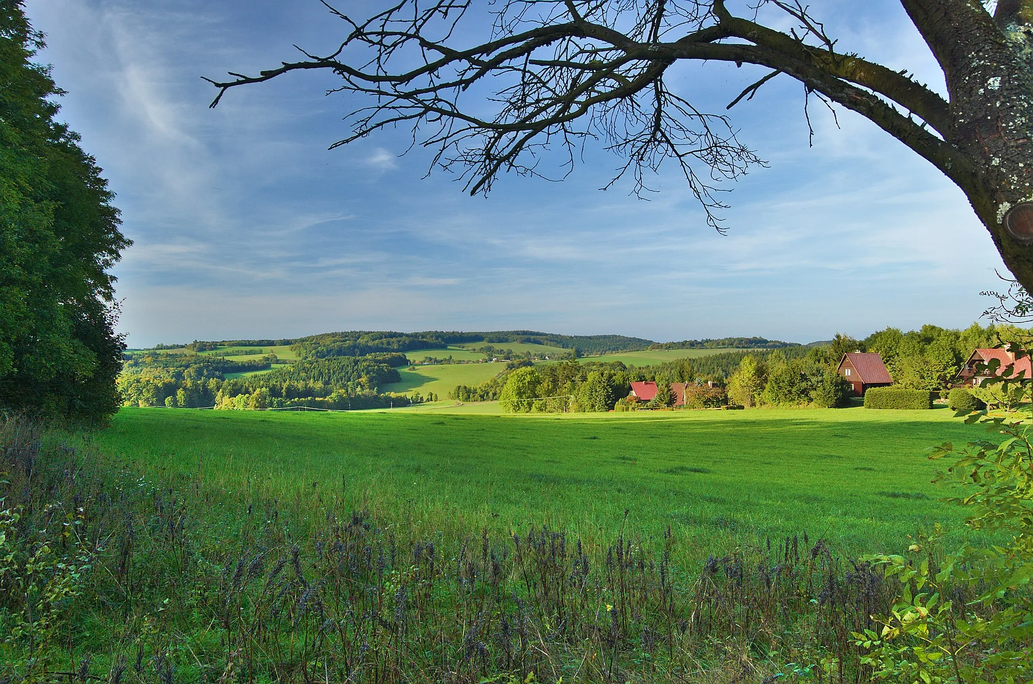 Photo showing: Přírodní park Bohdalov-Hartinkov, okres Svitavy