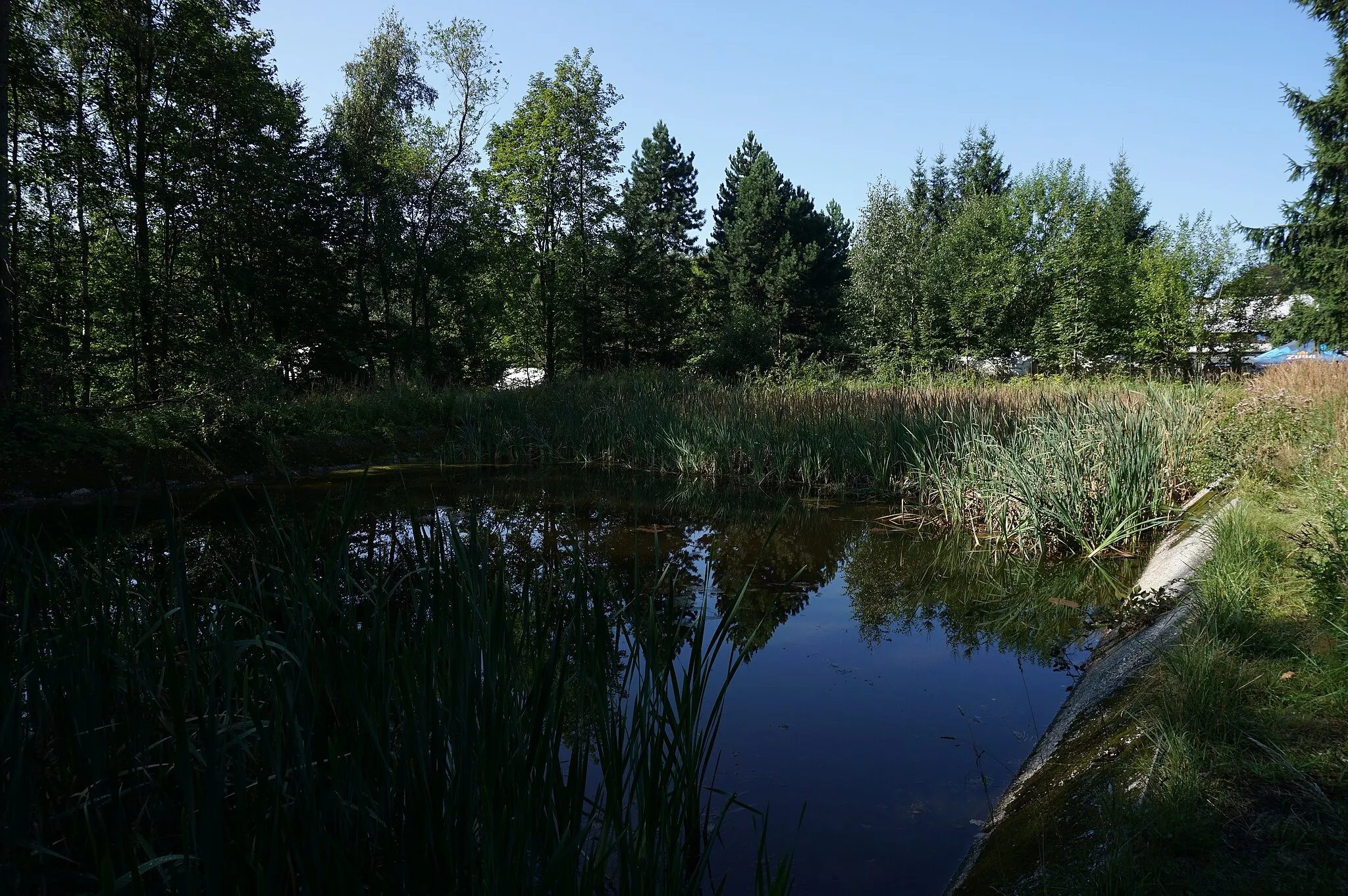 Photo showing: PP Nádrž Tesák u Rajnochovic, Hostýnské vrchy