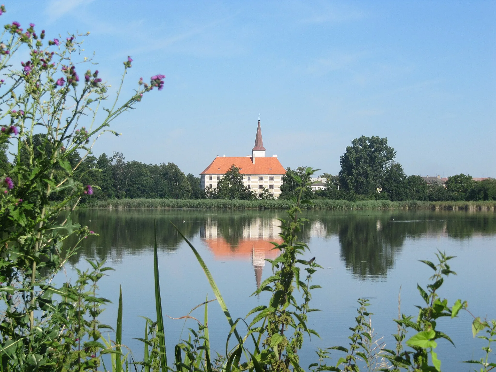 Photo showing: Chropyně, Kroměříž District, Czech Republic. Chropyňský rybník (pond), a National Natural Landmark.