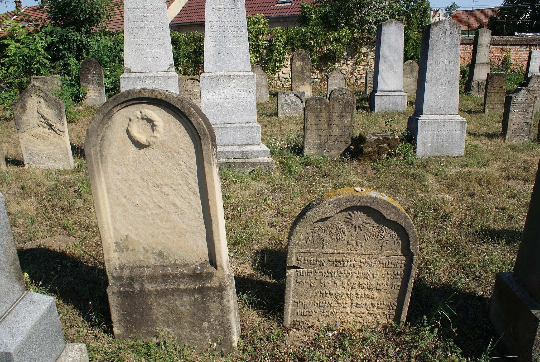 Photo showing: Jewish cemetery in Uherský Ostroh, Uherské Hradiště district, Czech Republic.