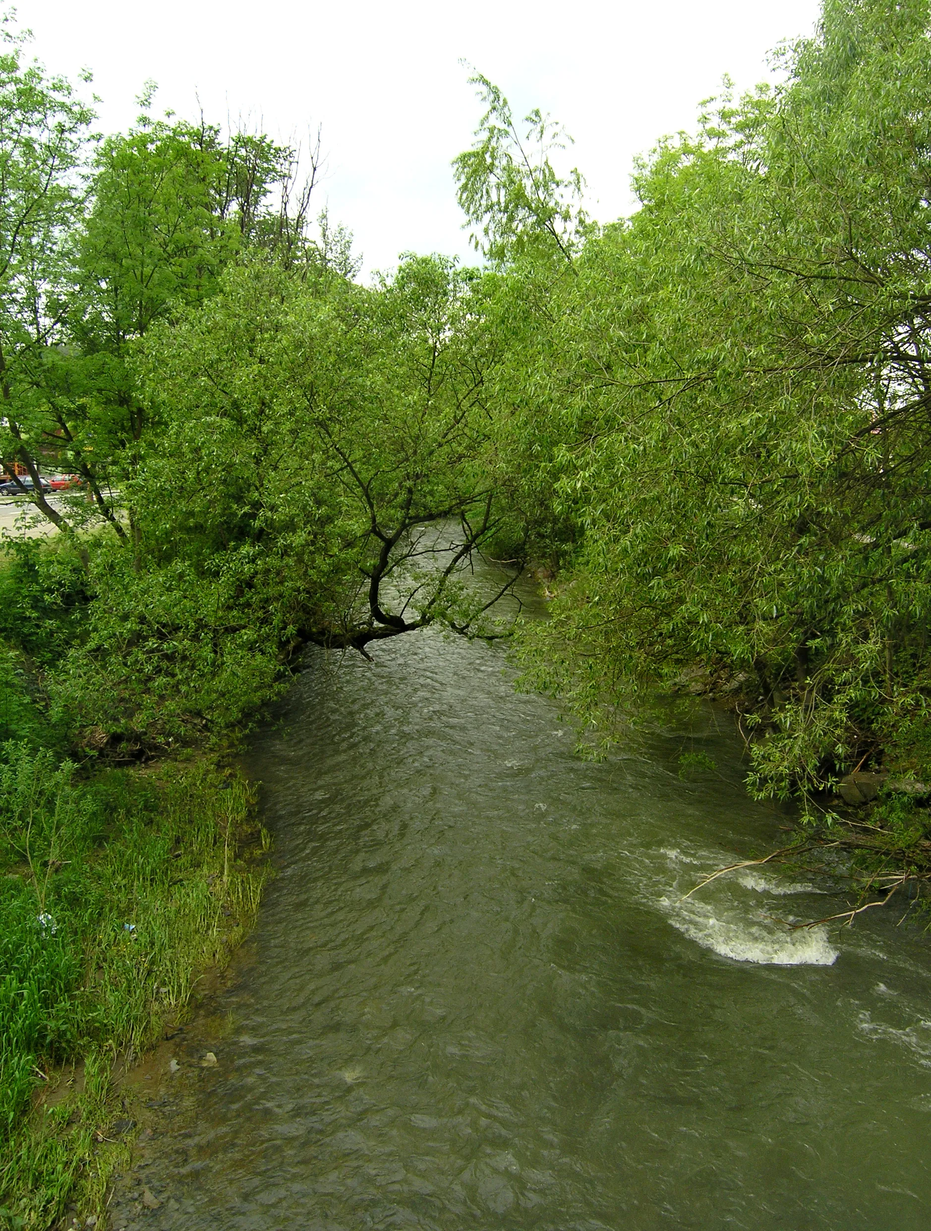 Photo showing: Senice River in Valašská Polanka, Czech Republic