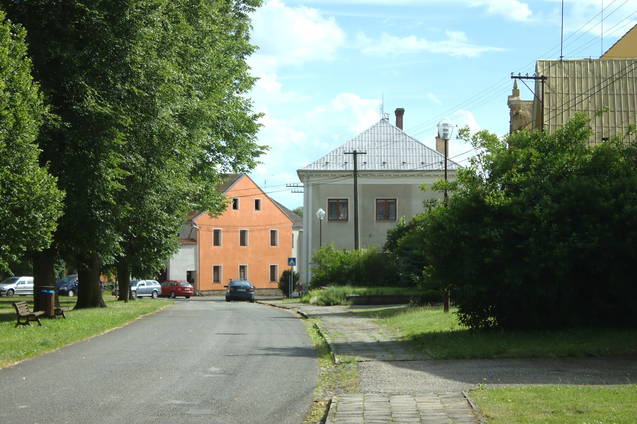 Photo showing: A common in Želechovice, Olomouc Region, CZ