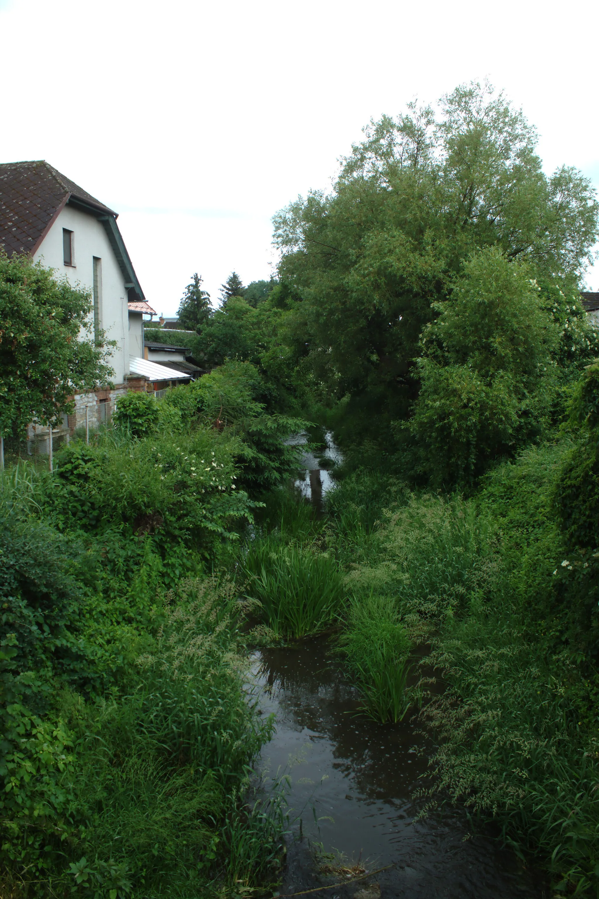 Photo showing: Teplička River in the village of Újezd, Olomouc Region, CZ