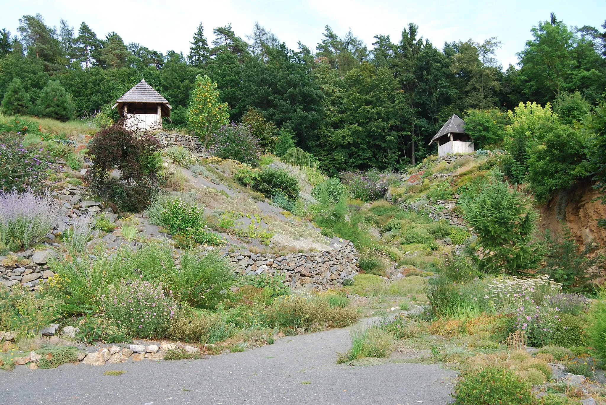 Photo showing: Arboretum cca 1 km za obcí Paseka směr Sovinec, po pravé straně před odbočkou na Karlov, na místě bývalé skládky. Paseka (okres Olomouc). Česká republika.