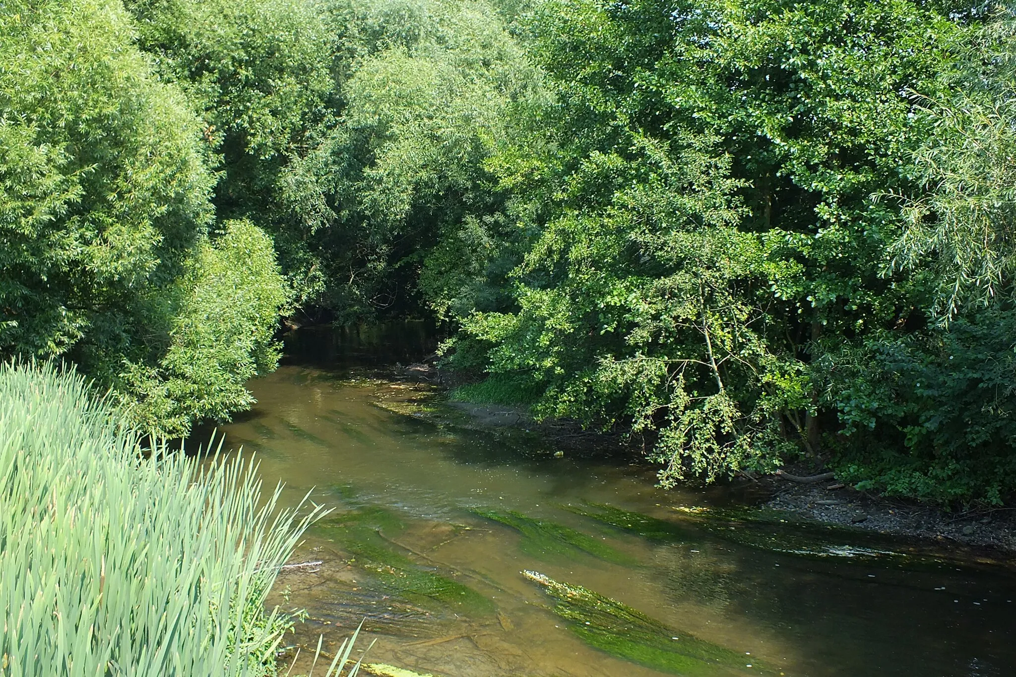 Photo showing: Malá voda aka Mlýnský potok – a distributary of the Morava River in the village Lhota nad Moravou in the Protected Landscape Area Litovelské Pomoraví, the Czech Republic.