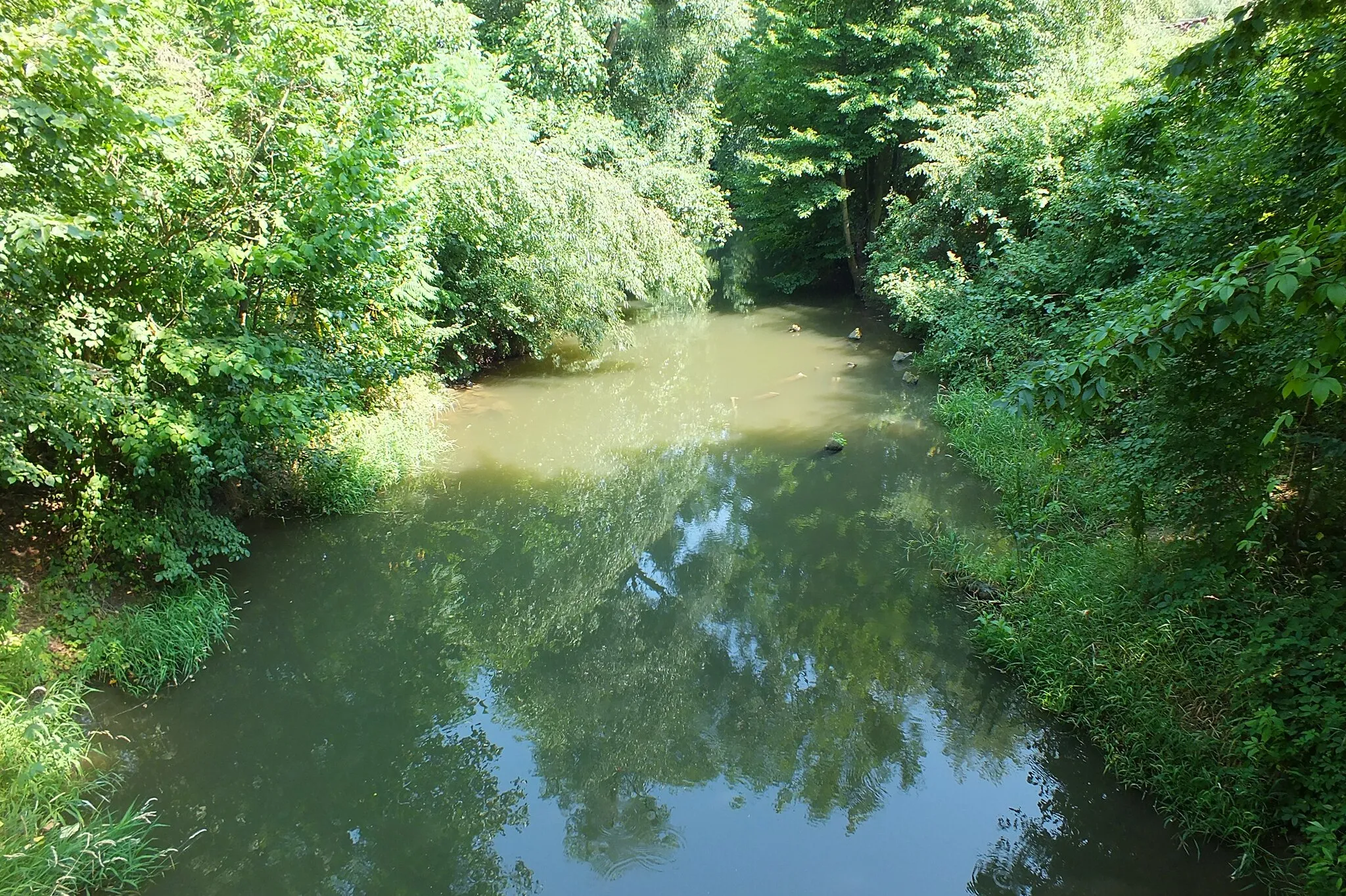 Photo showing: Svodnice, a distributary of the Malá voda, which is also a distributary of the river Morava. At the village Lhota nad Moravou in the Protected Landscape Area Litovelské Pomoraví, the Czech Republic.