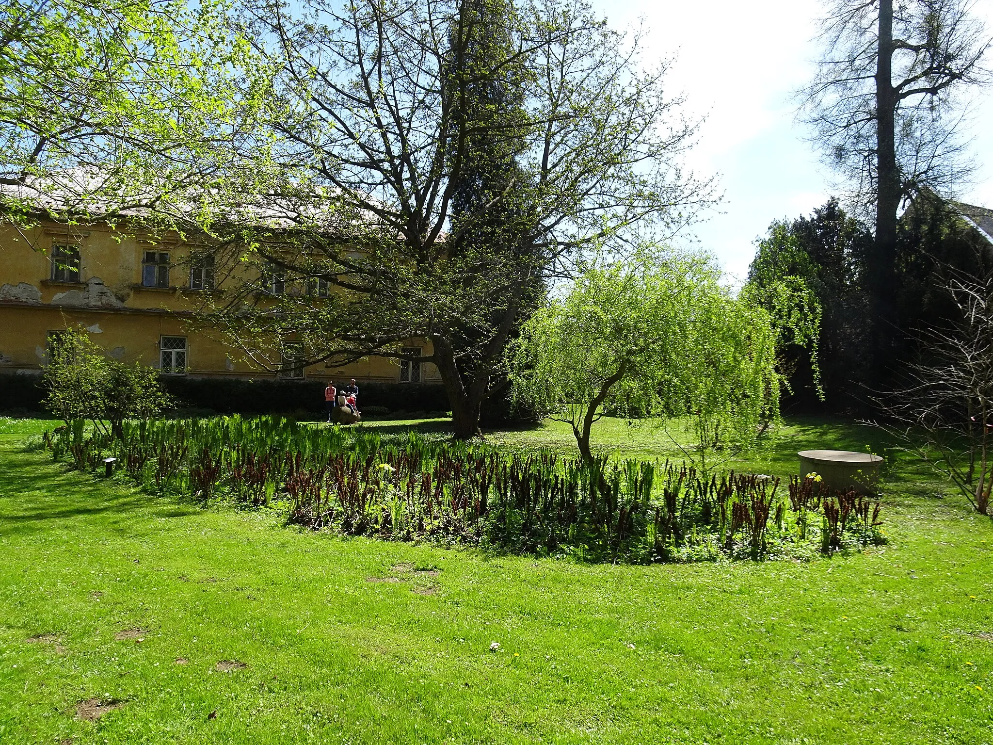 Photo showing: Bílá Lhota, Olomouc District, Czechia. Arboretum.