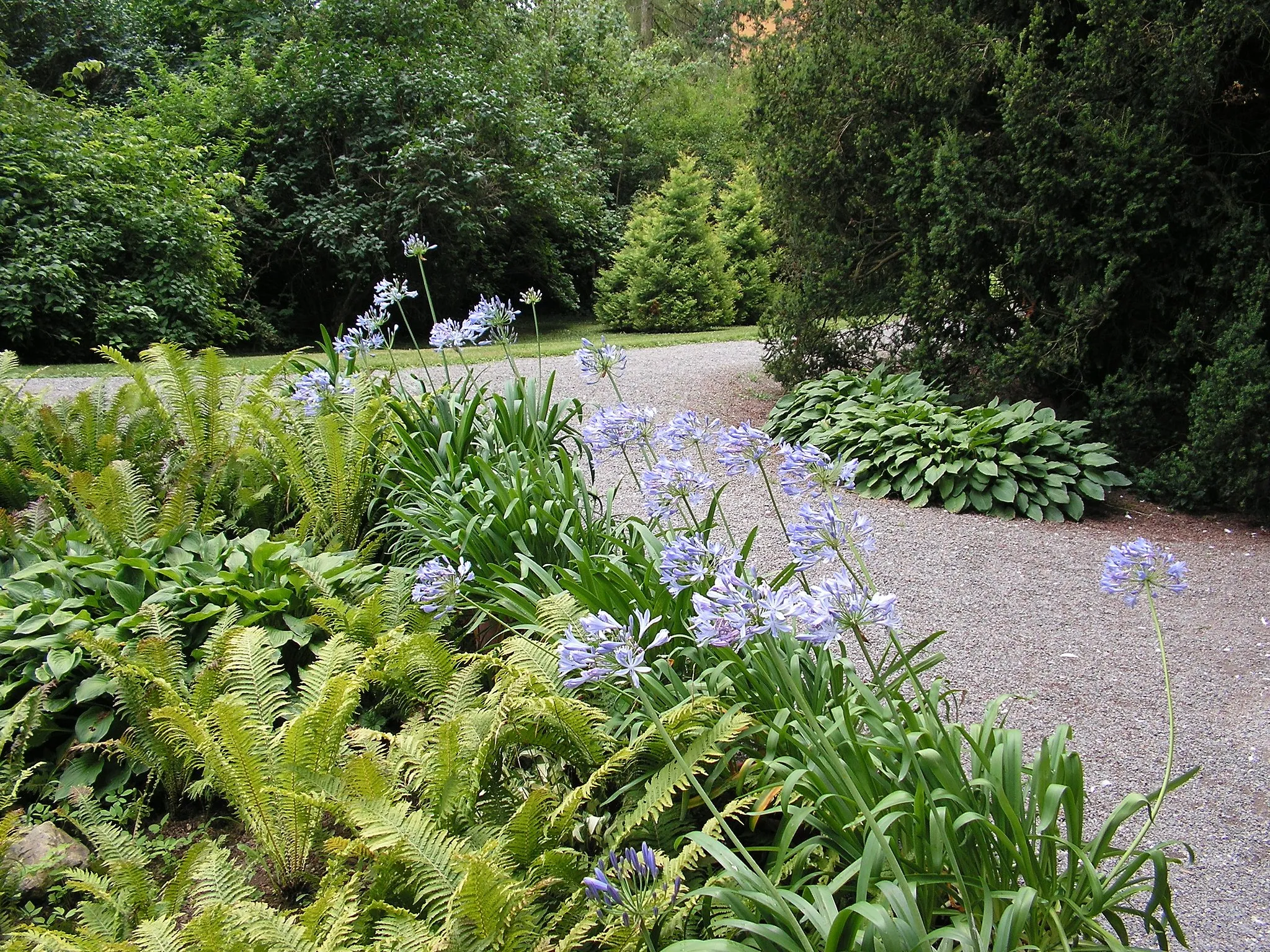 Photo showing: Bílá Lhota, Olomouc District, Czechia. Arboretum.