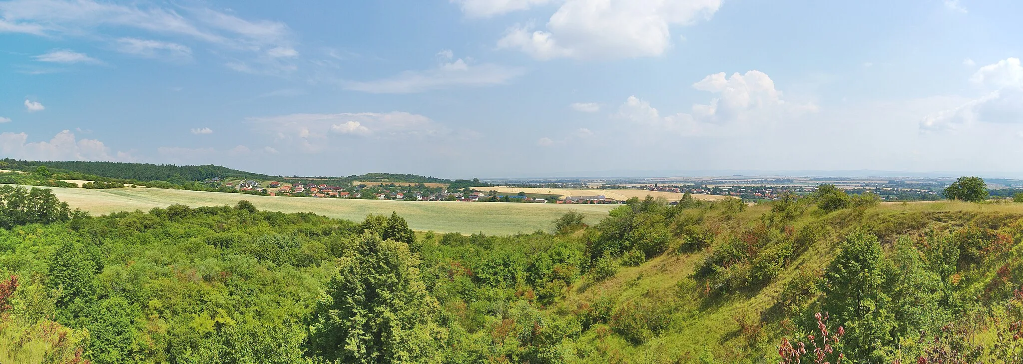 Photo showing: Přírodní památka Vápenice, Slatinky, okres Prostějov