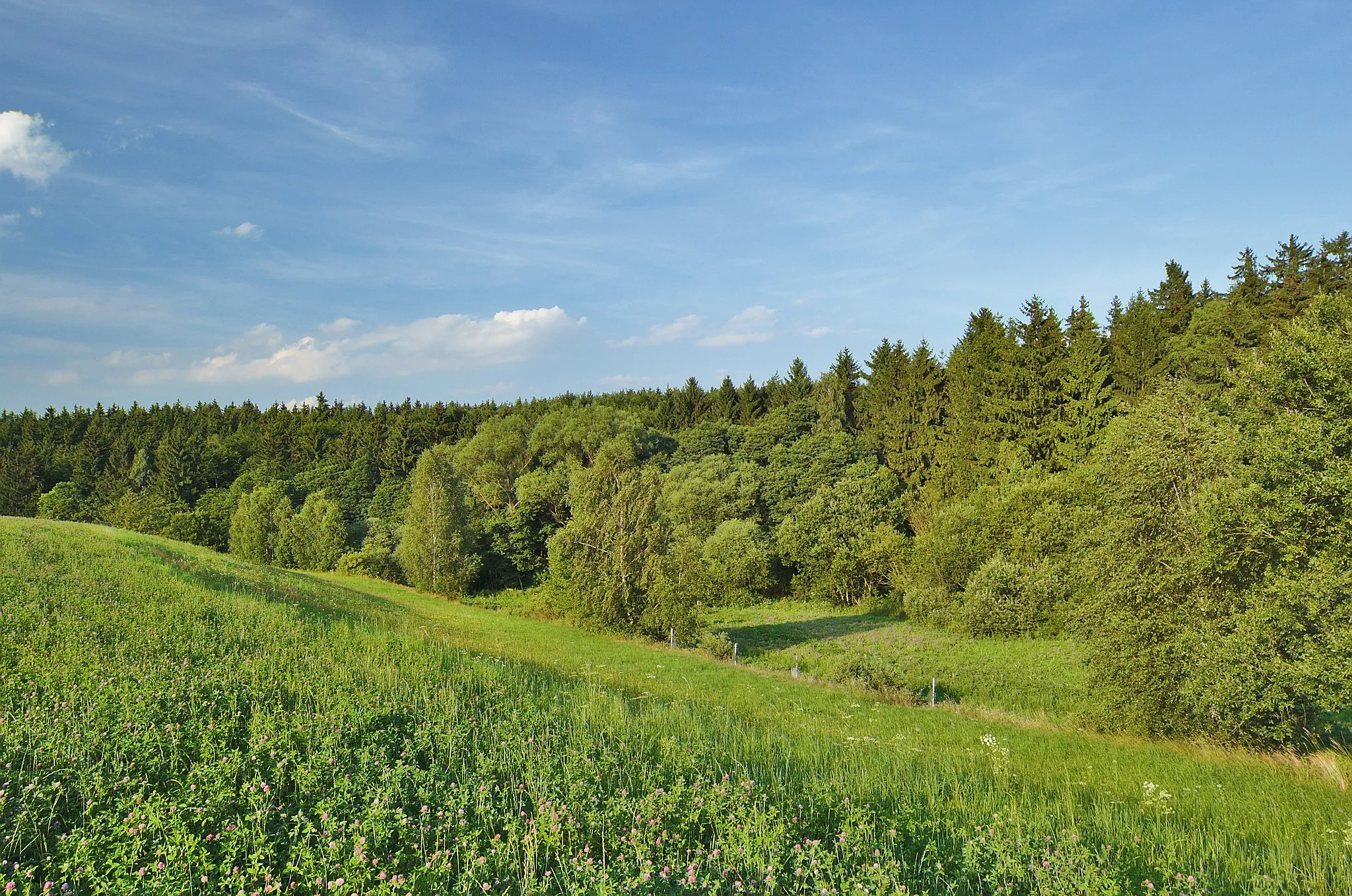 Photo showing: Přírodní památka Protivanov, okres Prostějov