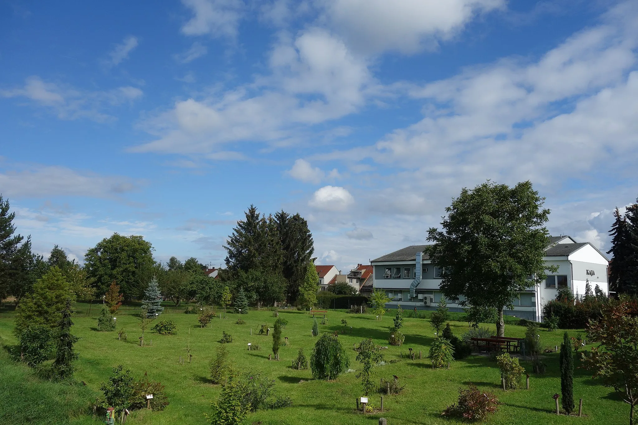 Photo showing: Arboretum Vrahovice