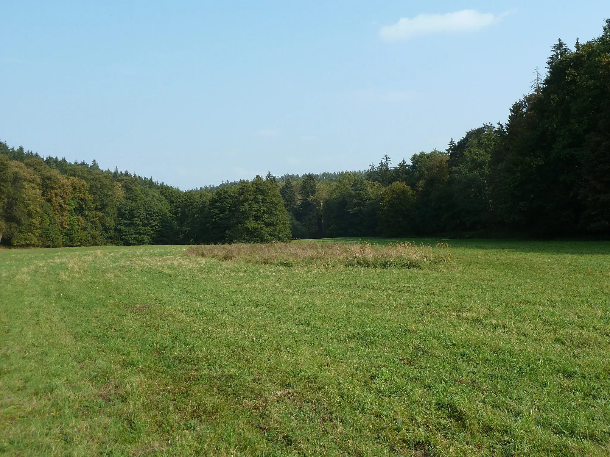 Photo showing: Nature reserve Terezské údolí, near Olomouc, Czech Republic