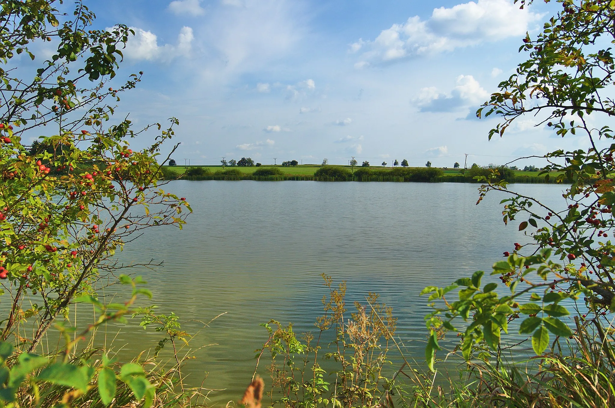 Photo showing: Přírodní památka Nebeský rybník, okres Prostějov