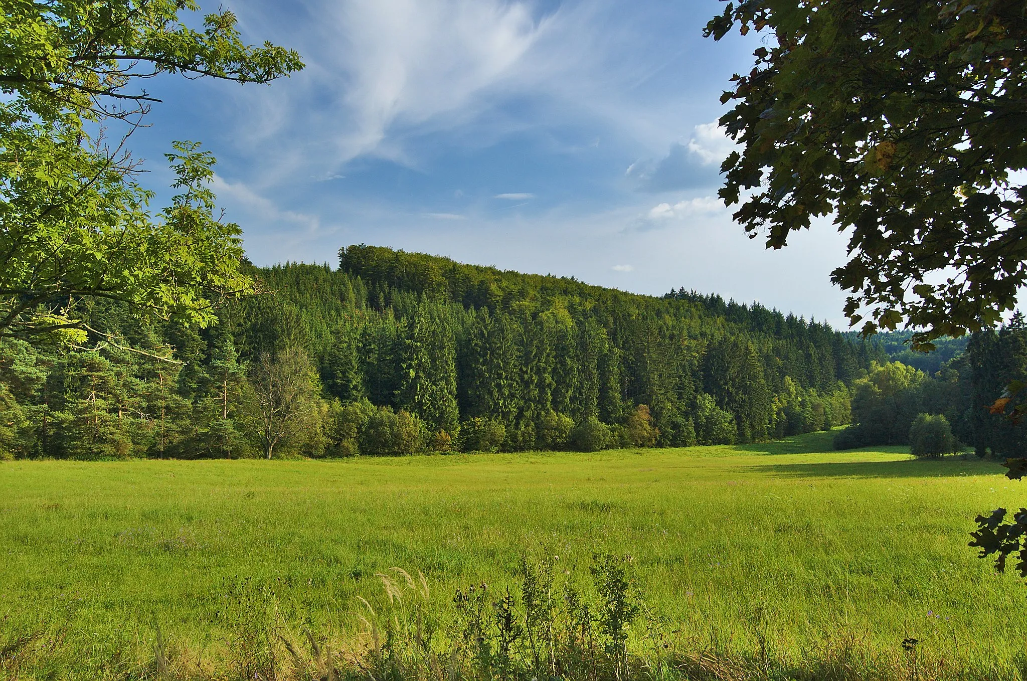 Photo showing: Přírodní památka Údolí Velké Hané, okres Prostějov