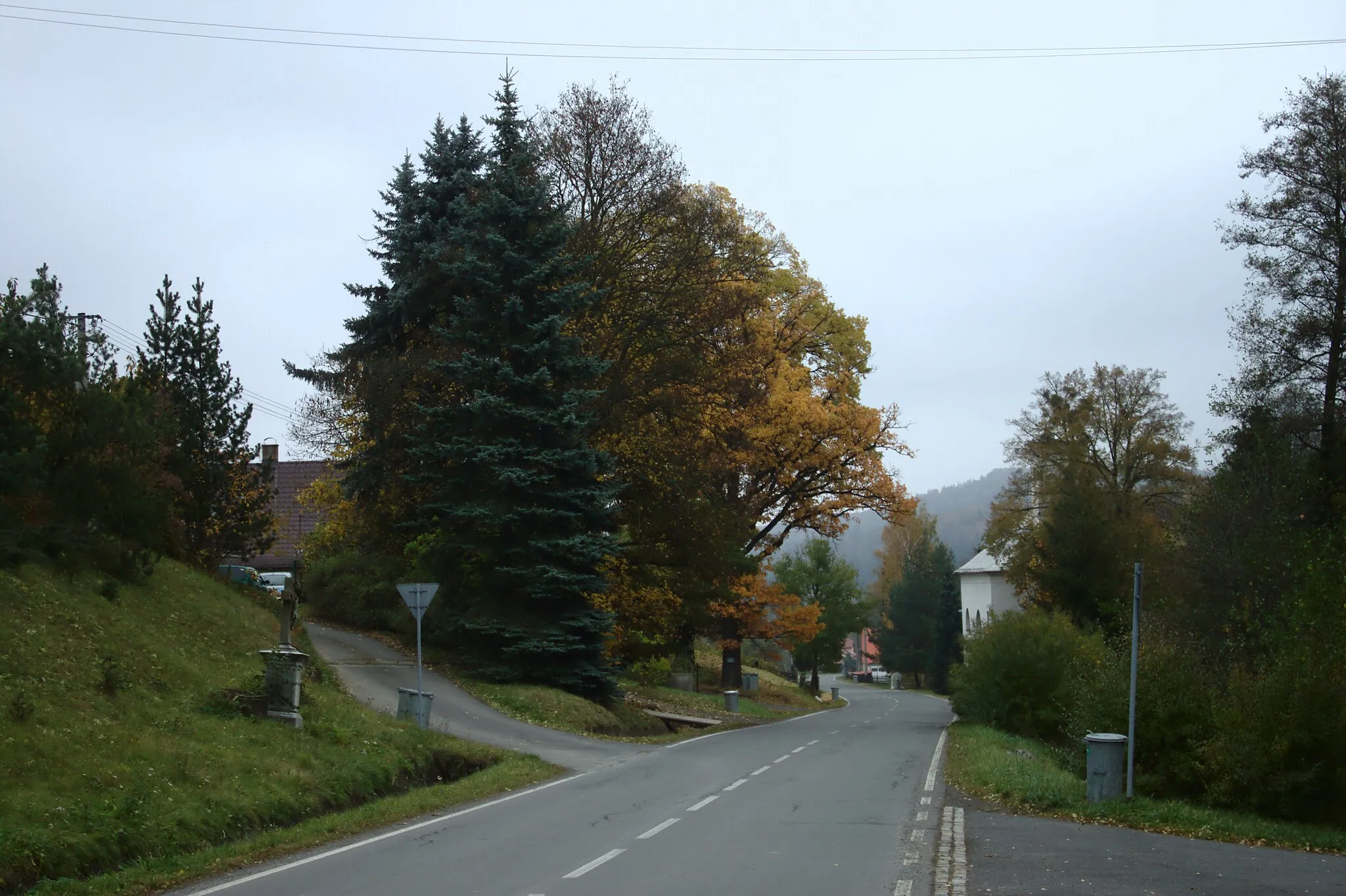 Photo showing: A road in Oborná, Moravian-Silesian Region, CZ