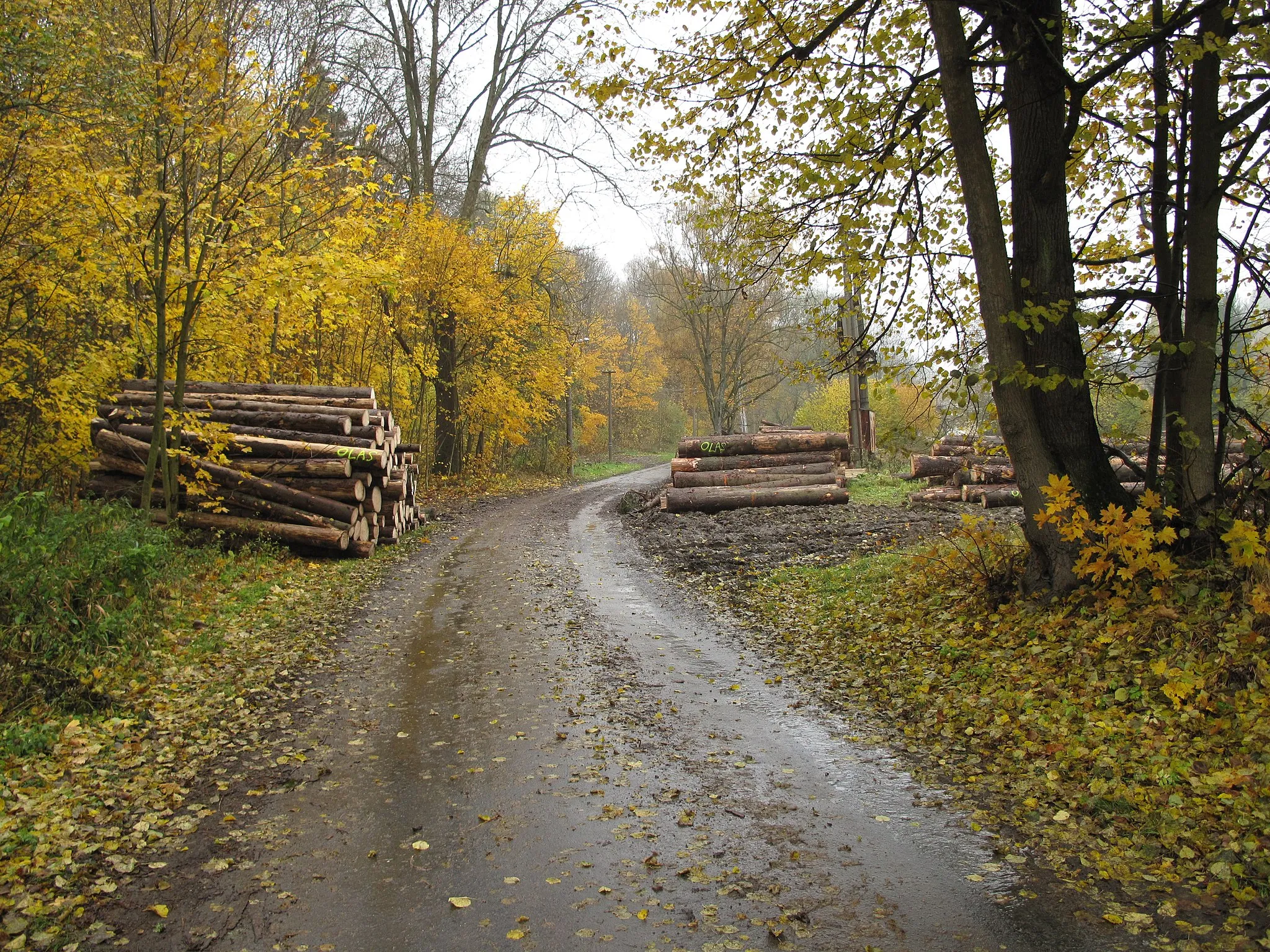 Photo showing: Dlouhá Voda. Okres Bruntál, Česká republika.