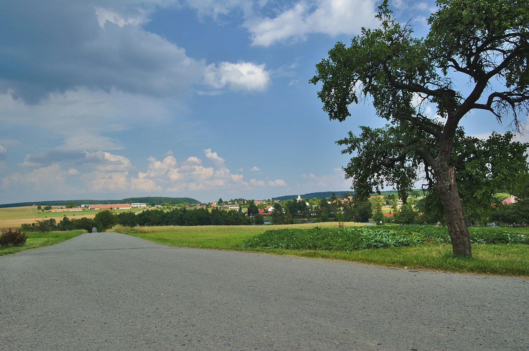 Photo showing: Pohled na Molenburk z Houska, Vysočany, okres Blansko