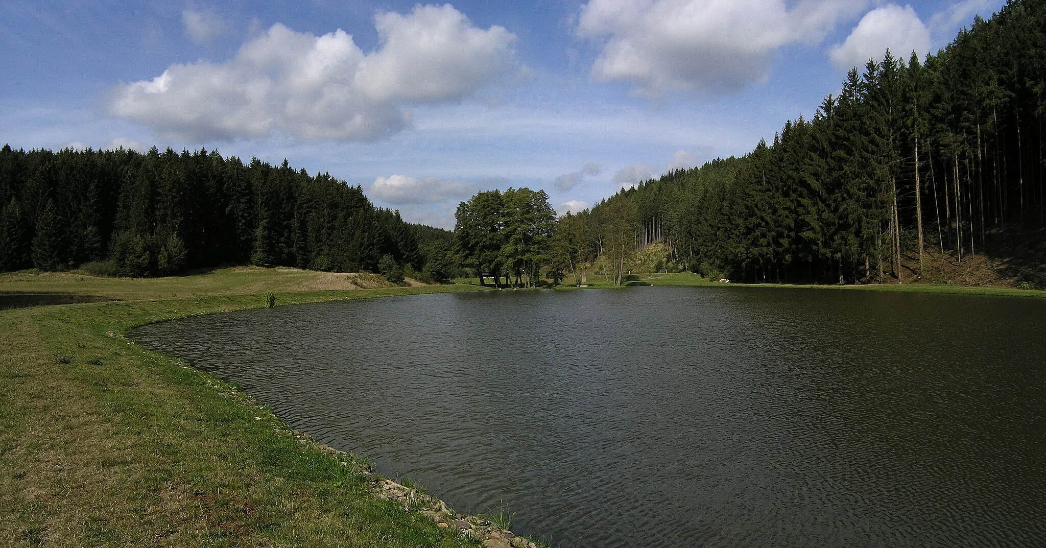 Photo showing: Rybníky pod obcí Býkovice na říčce Býkovka. Lokalita po revitalizaci.