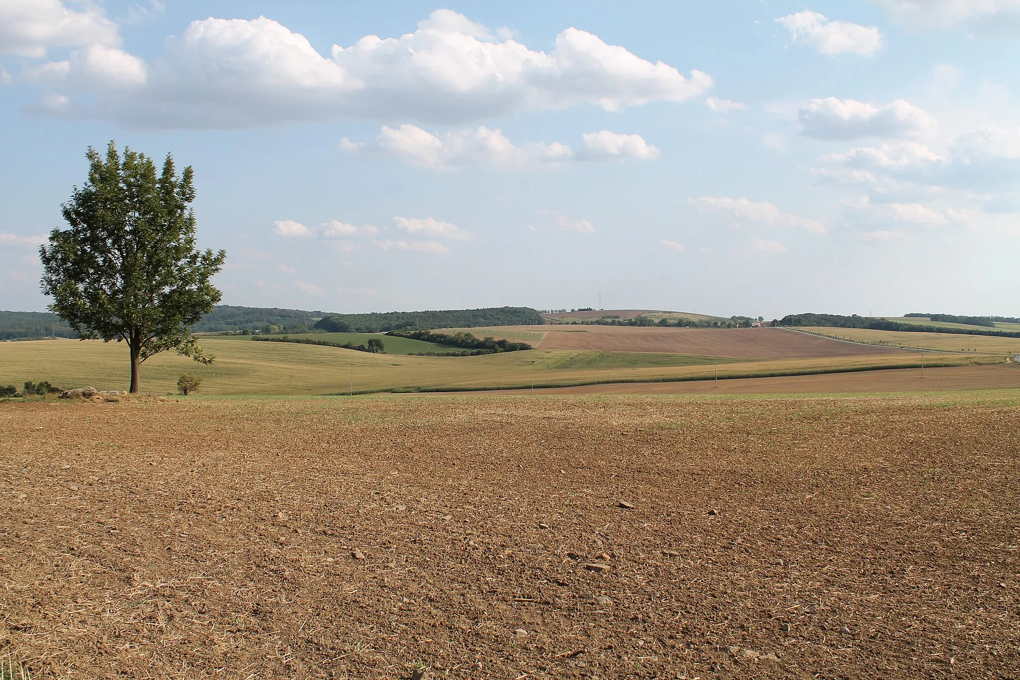 Photo showing: View from Zouvalka to Manerov, Prusy-Boškůvky, Vyškov District, Czech Republic