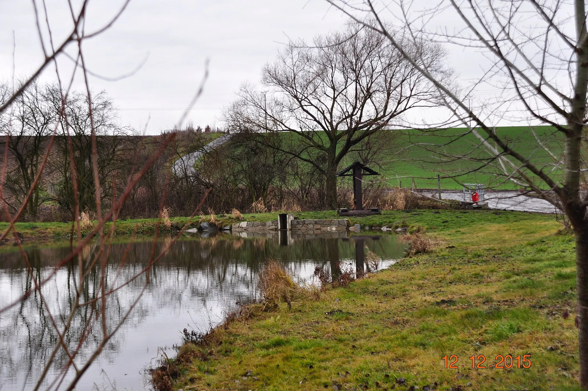 Photo showing: Revitalised  wetland ecosystem, east part passage of Kojátky village