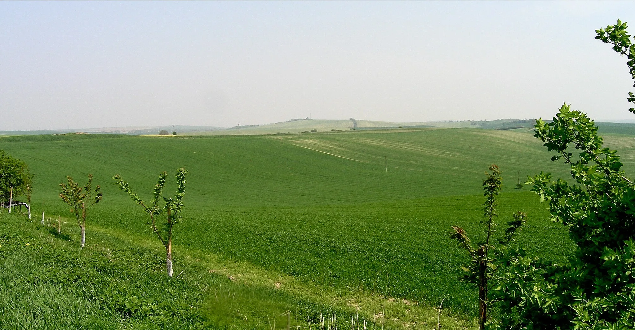 Photo showing: Krajina na severní straně Kojátek; v pozadí vrchol Reblovna 296,6 m, vlevo Bohaté Málkovice