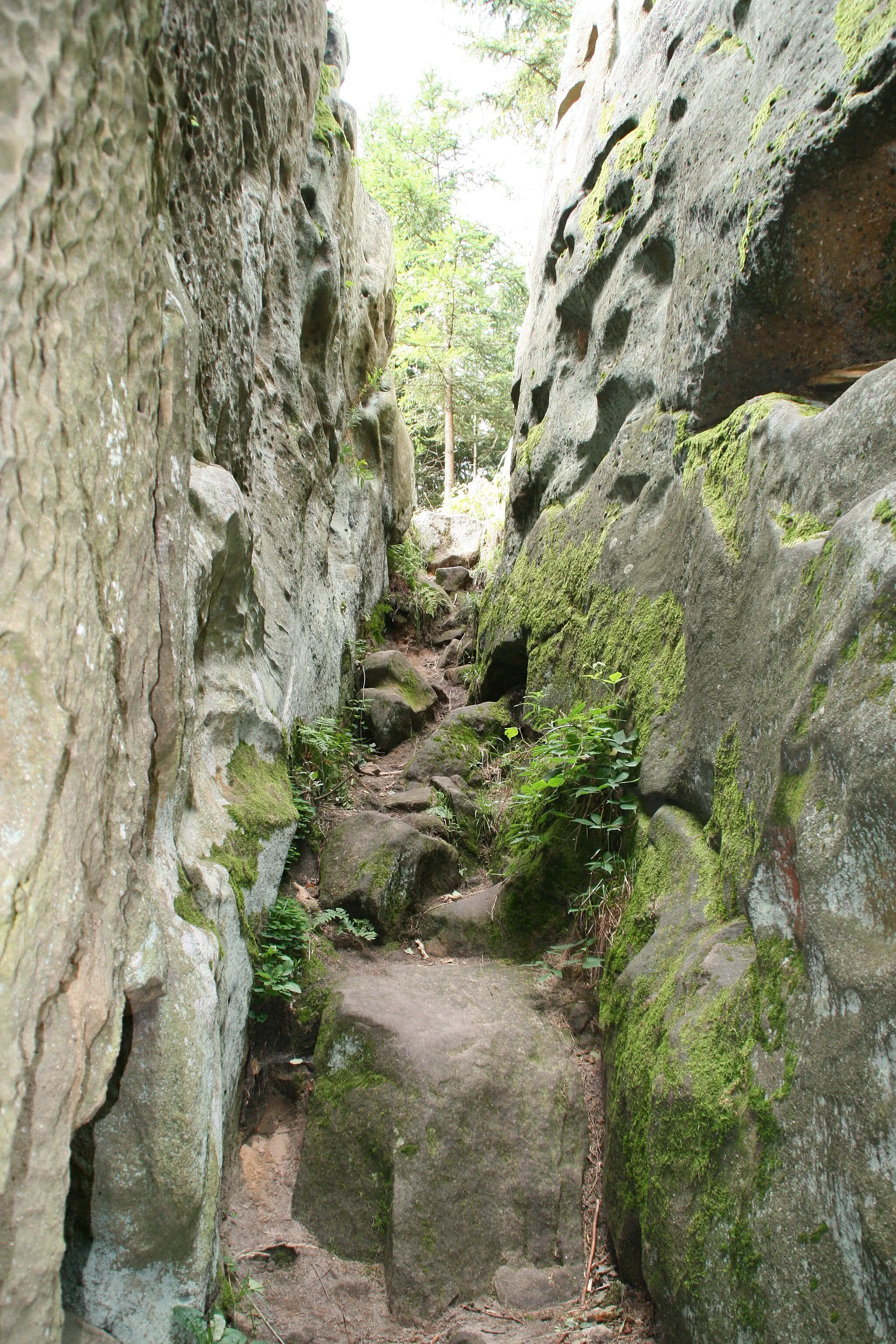 Photo showing: "Upper Lačnov´s rocks", Vsetín District, Zlín Region, Czech Republic