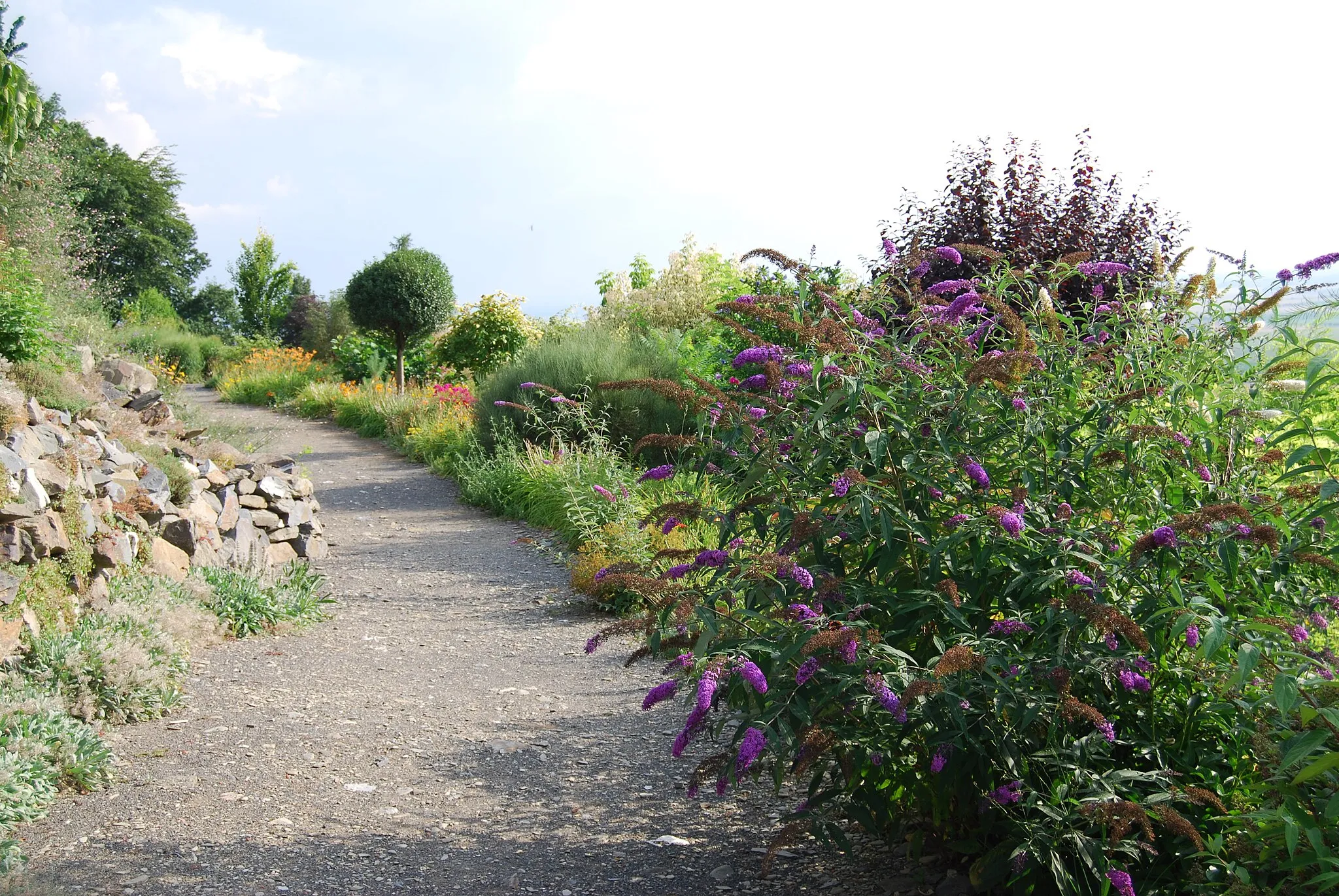 Photo showing: Arboretum cca 1 km za obcí Paseka směr Sovinec, po pravé straně před odbočkou na Karlov, na místě bývalé skládky. Paseka (okres Olomouc). Česká republika.