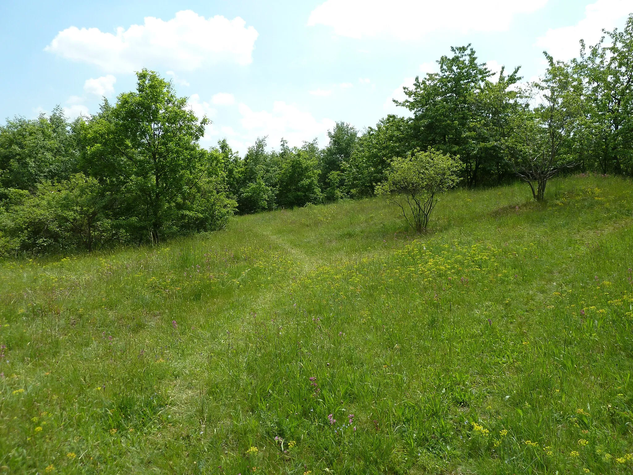 Photo showing: Nature reserve Malý Kosíř (central Moravia, Czech Republic)